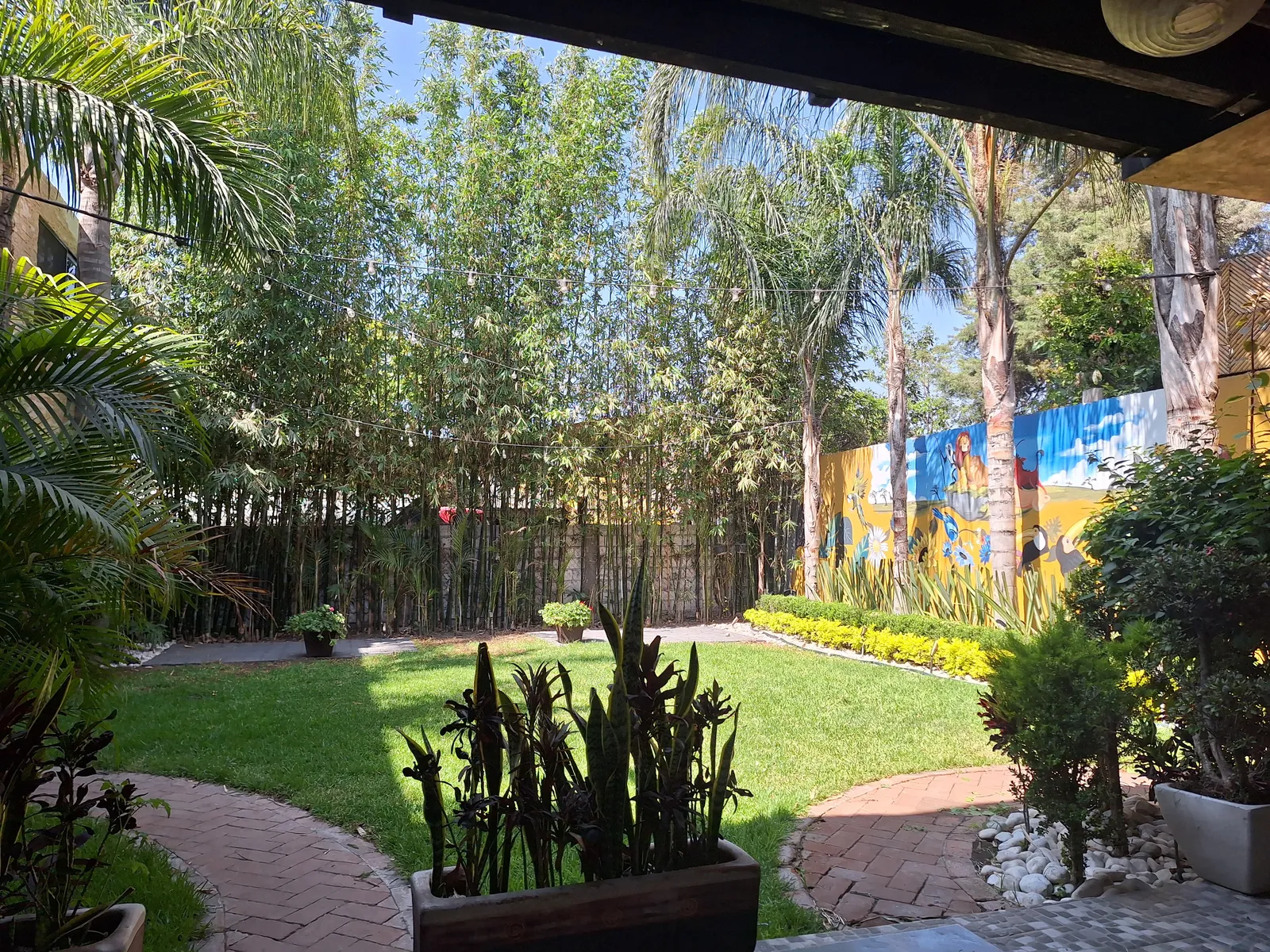 La Terraza image 2