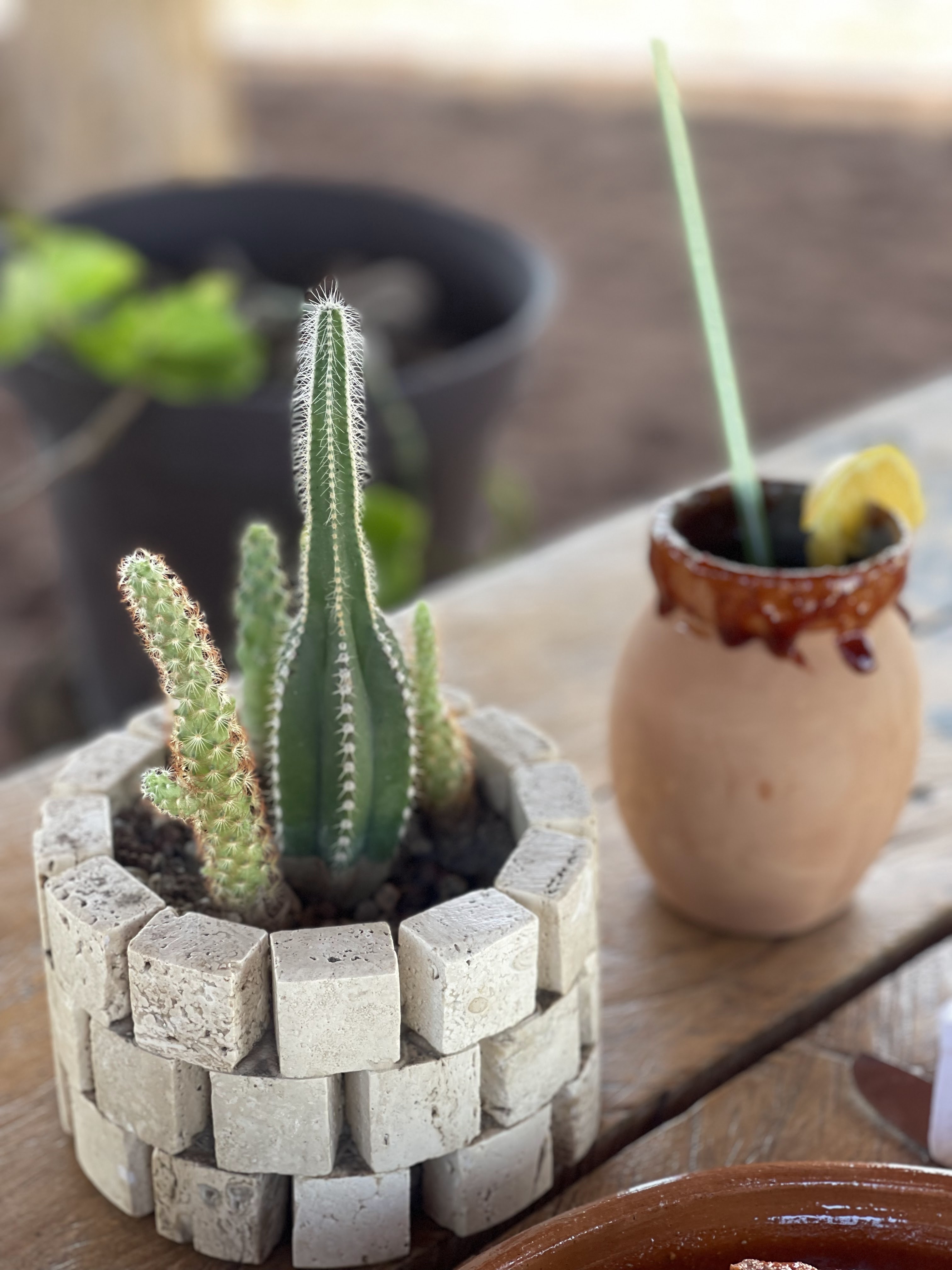 PARADOR DON GOYO image 10