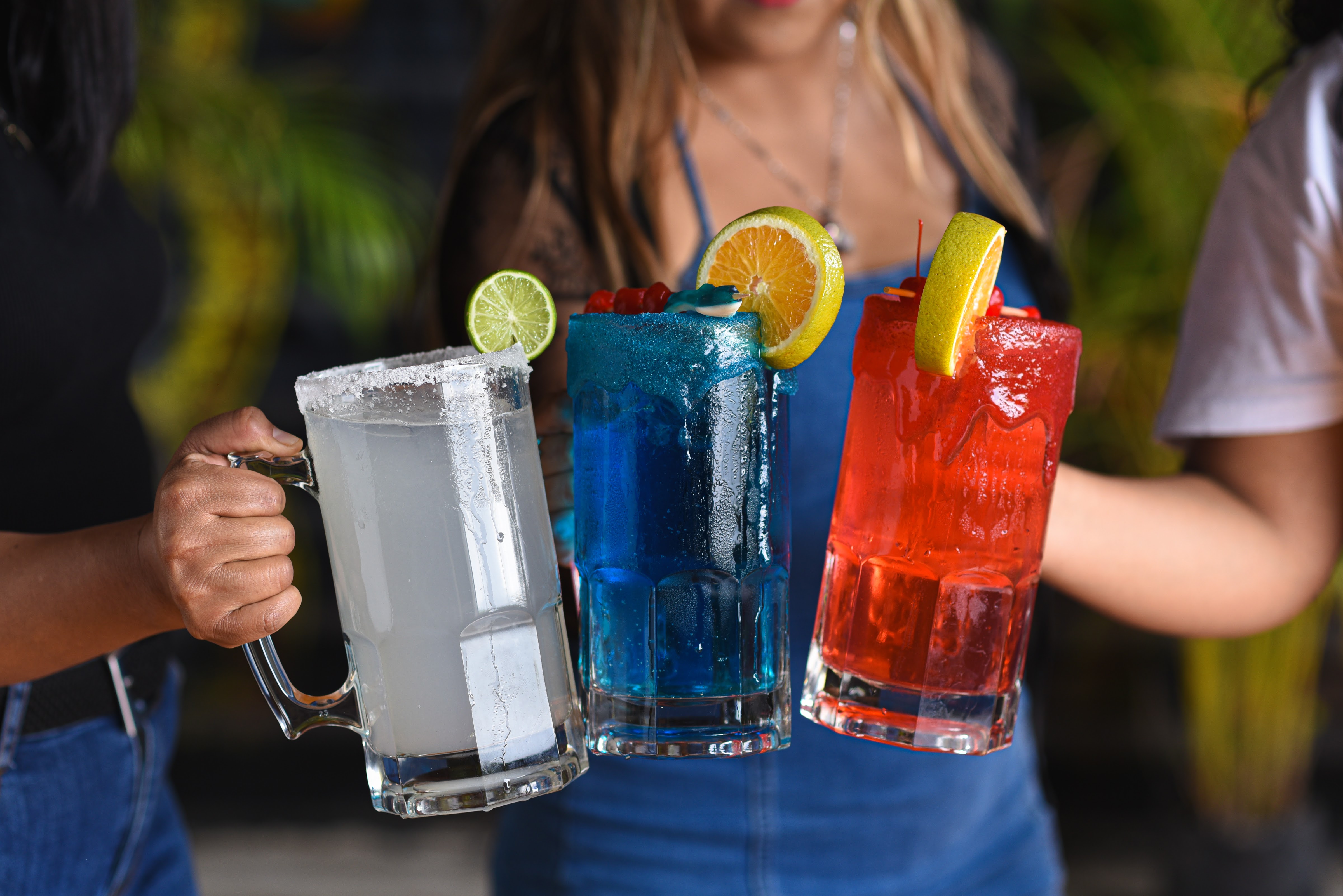 RESTAURANTE EL PADERON image 5