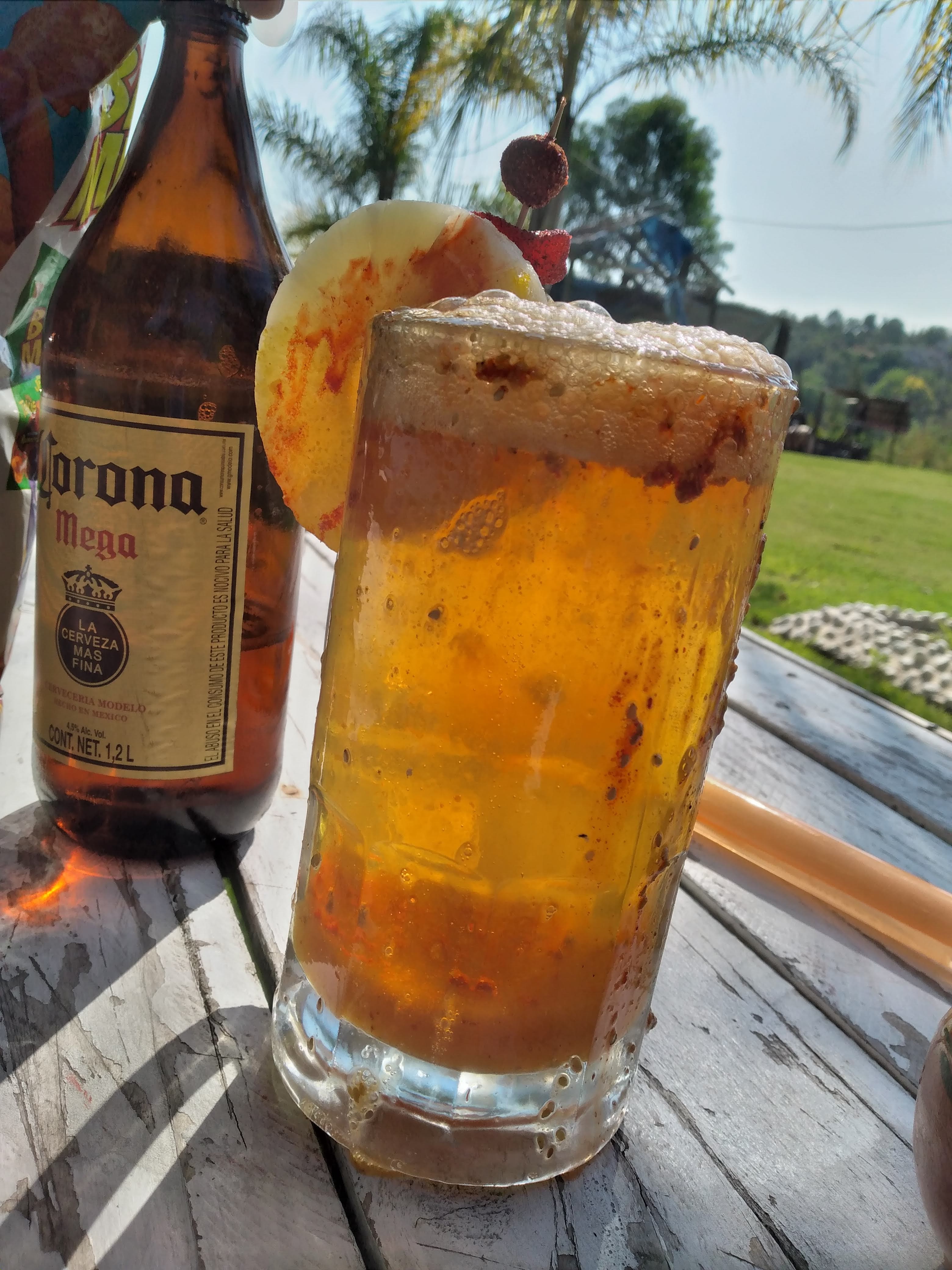 Puerto Pato Escondido image 2