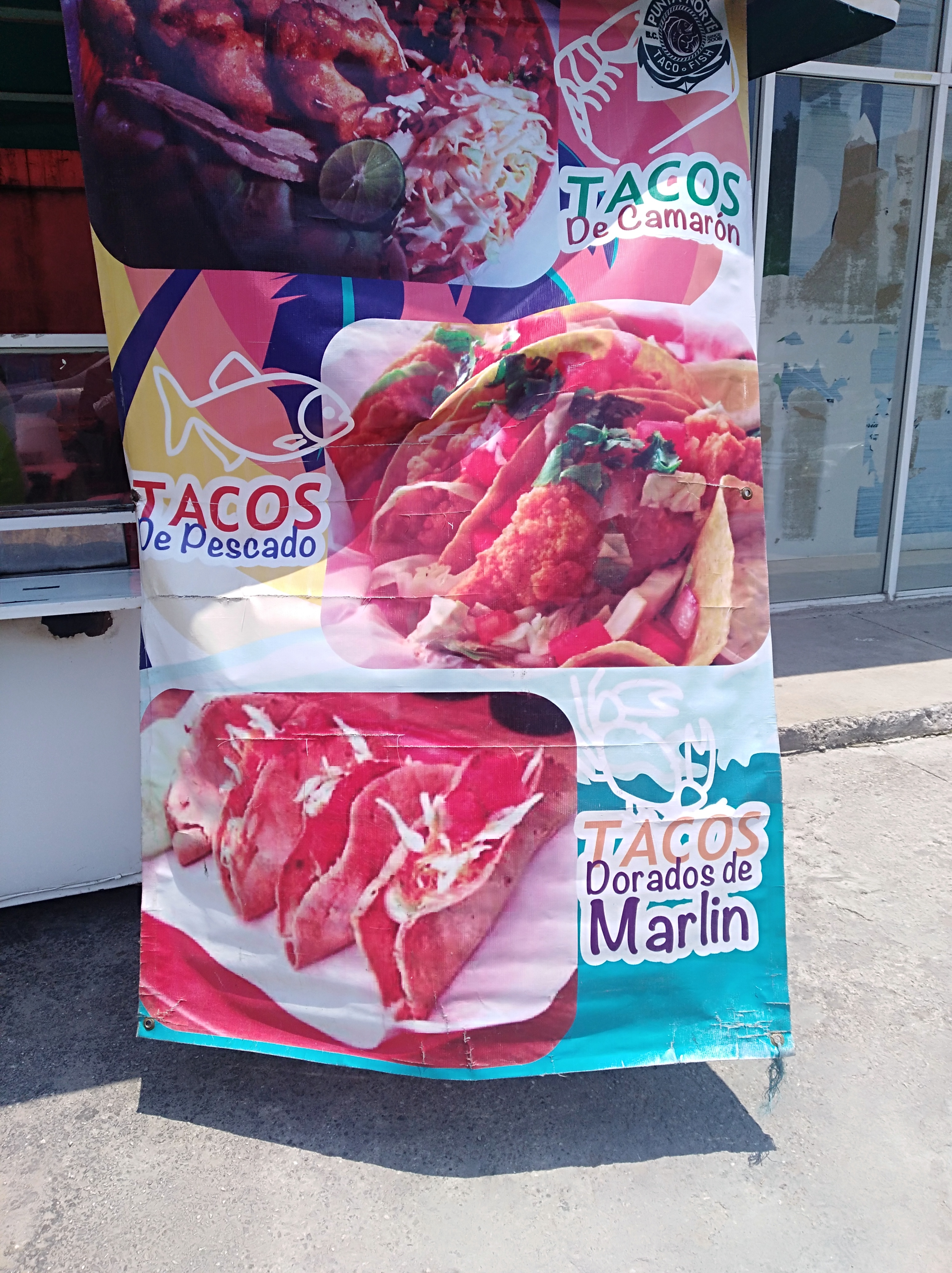 Punta Norte Taco Fish image 8