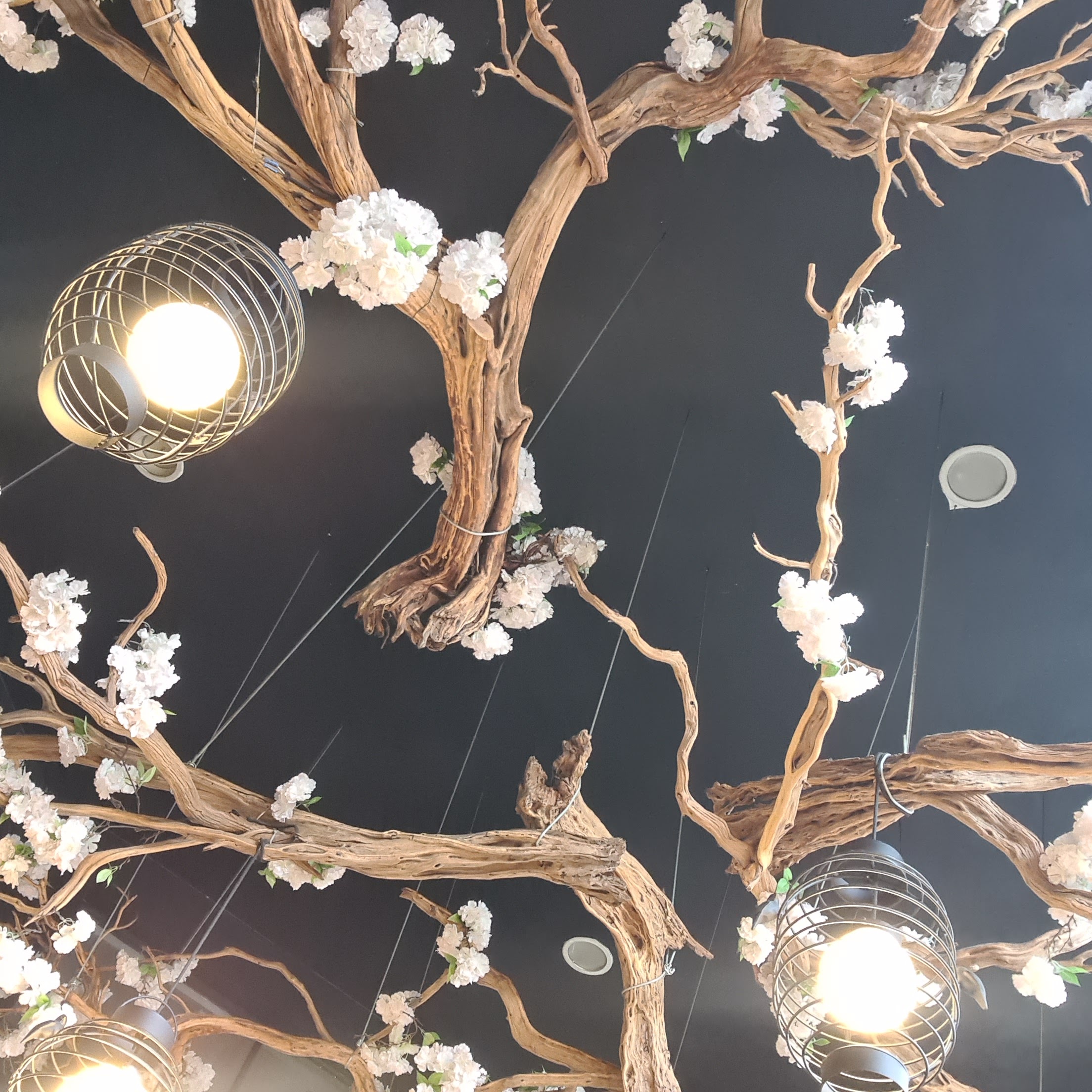 Nikaho Sushi Bar image 10