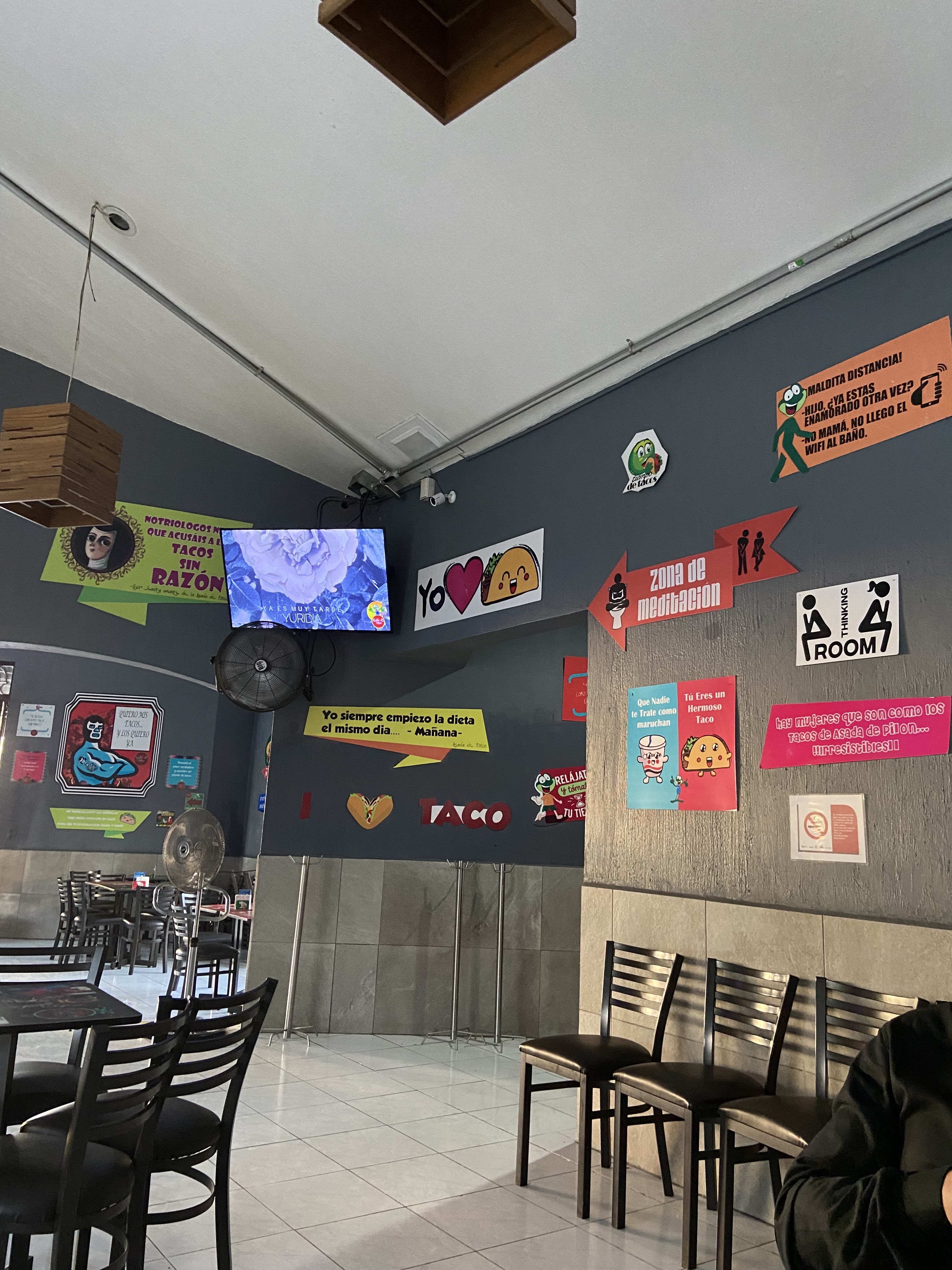 Mr Hunter MX tacos&quesadillas image 9