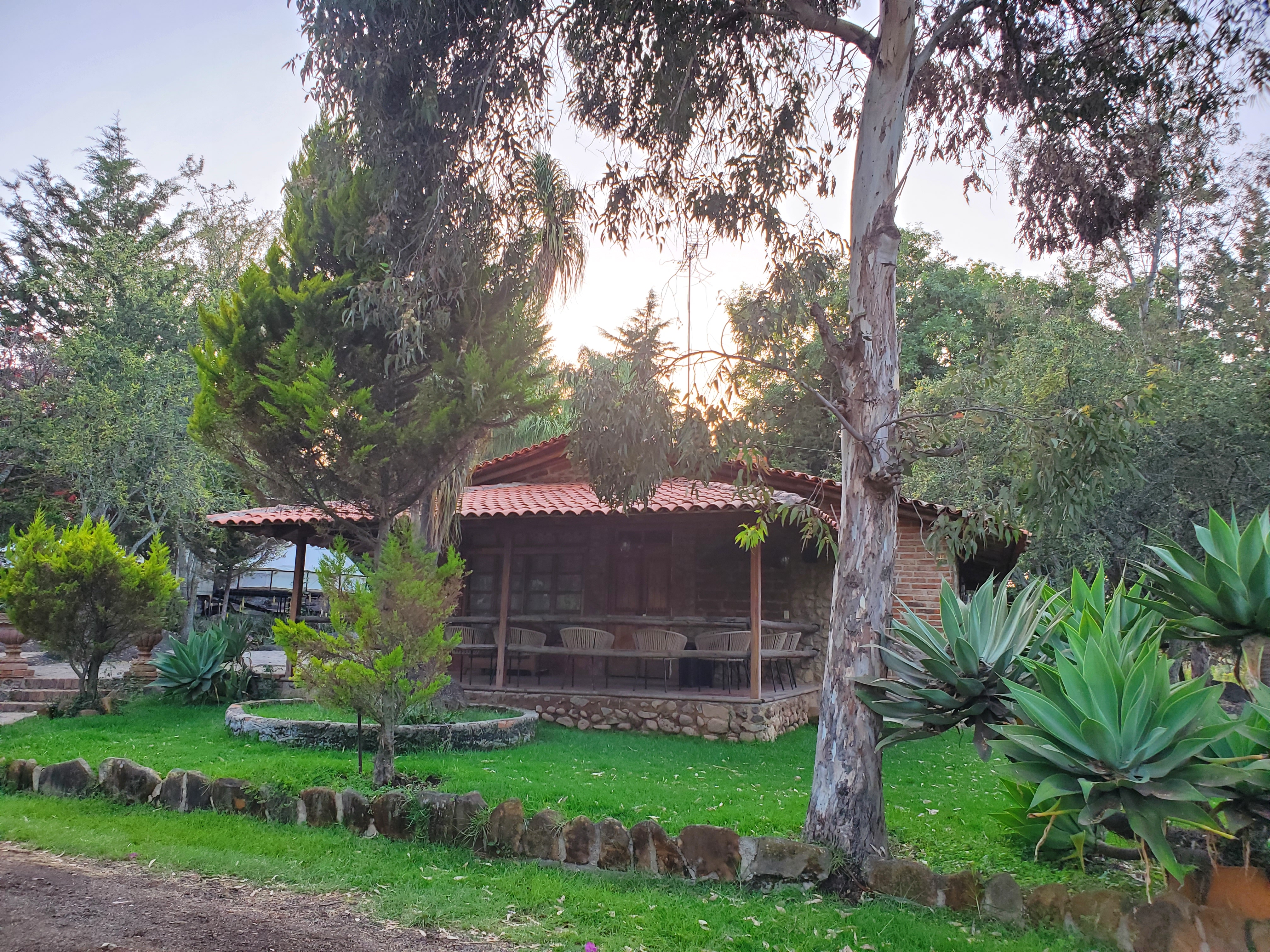 Hacienda Coyotes image 9