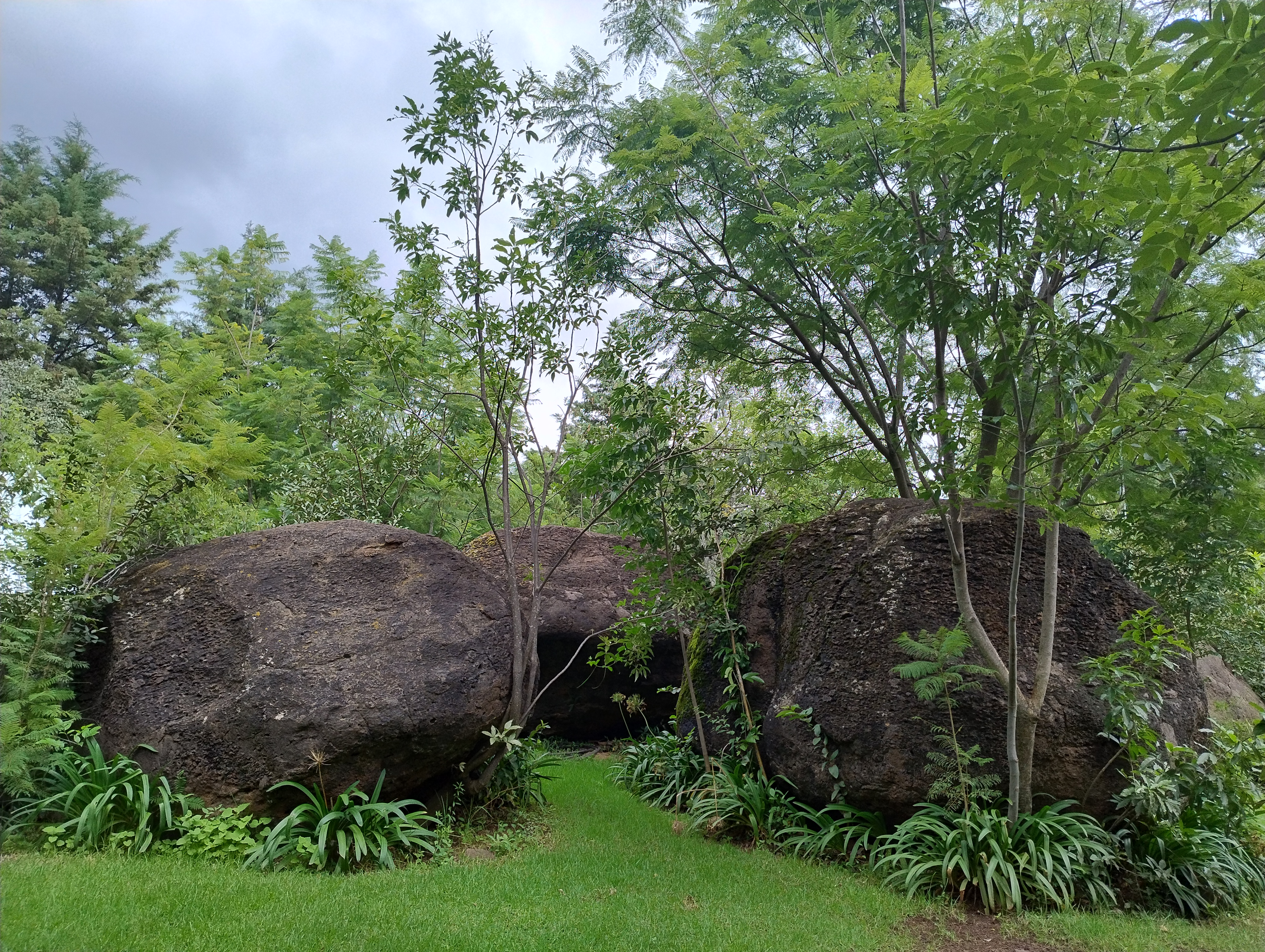 Hacienda Coyotes image 10