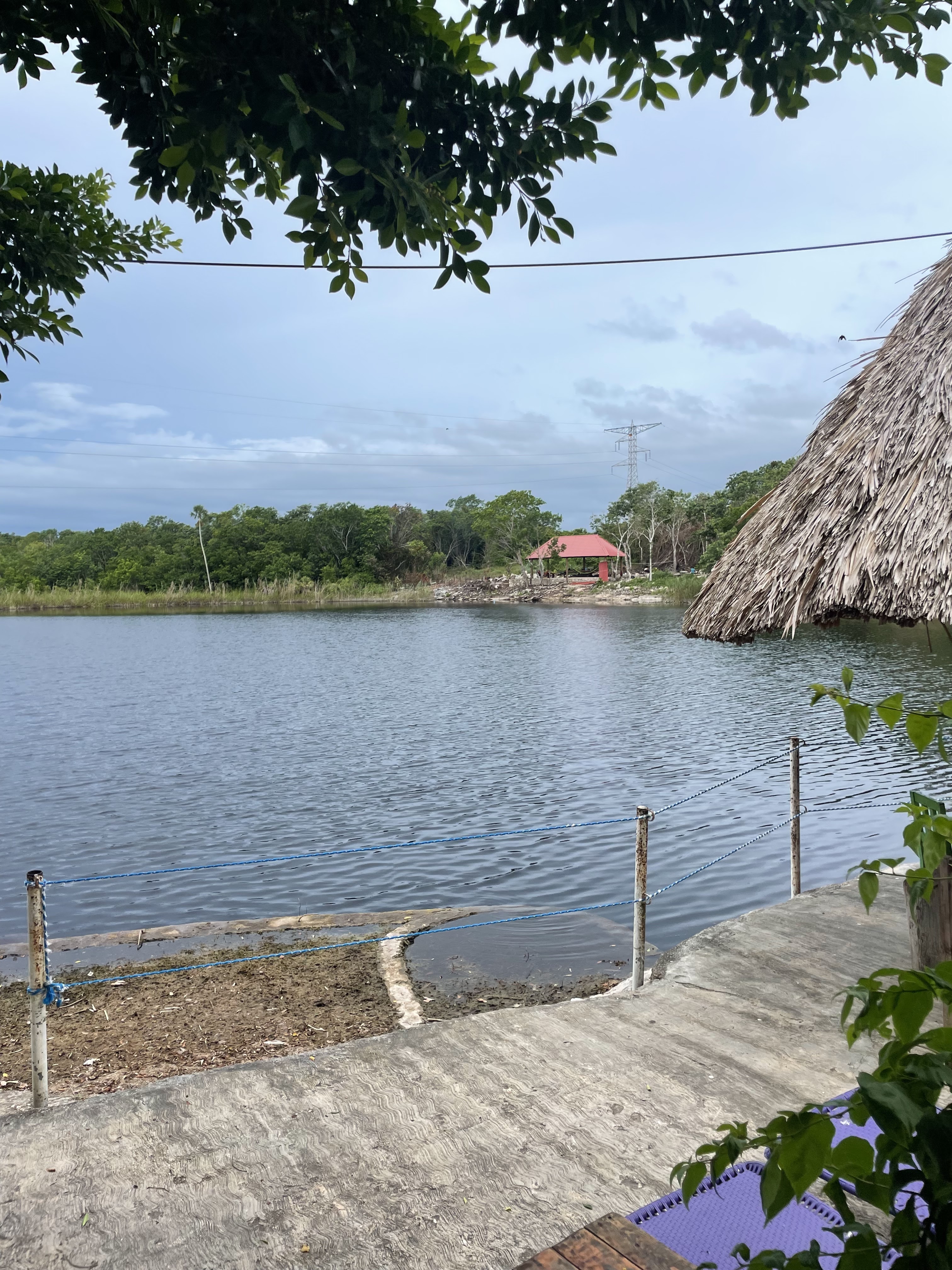 Cenote Victoria image 3