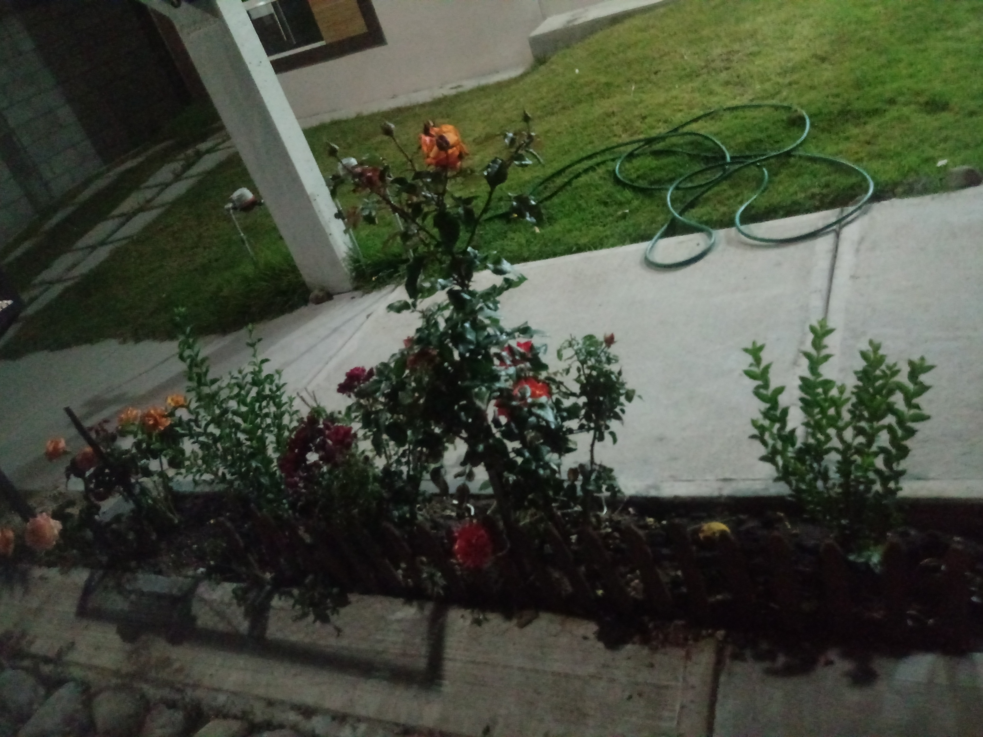 Comida rápida y Postres "Bonnys" image 5