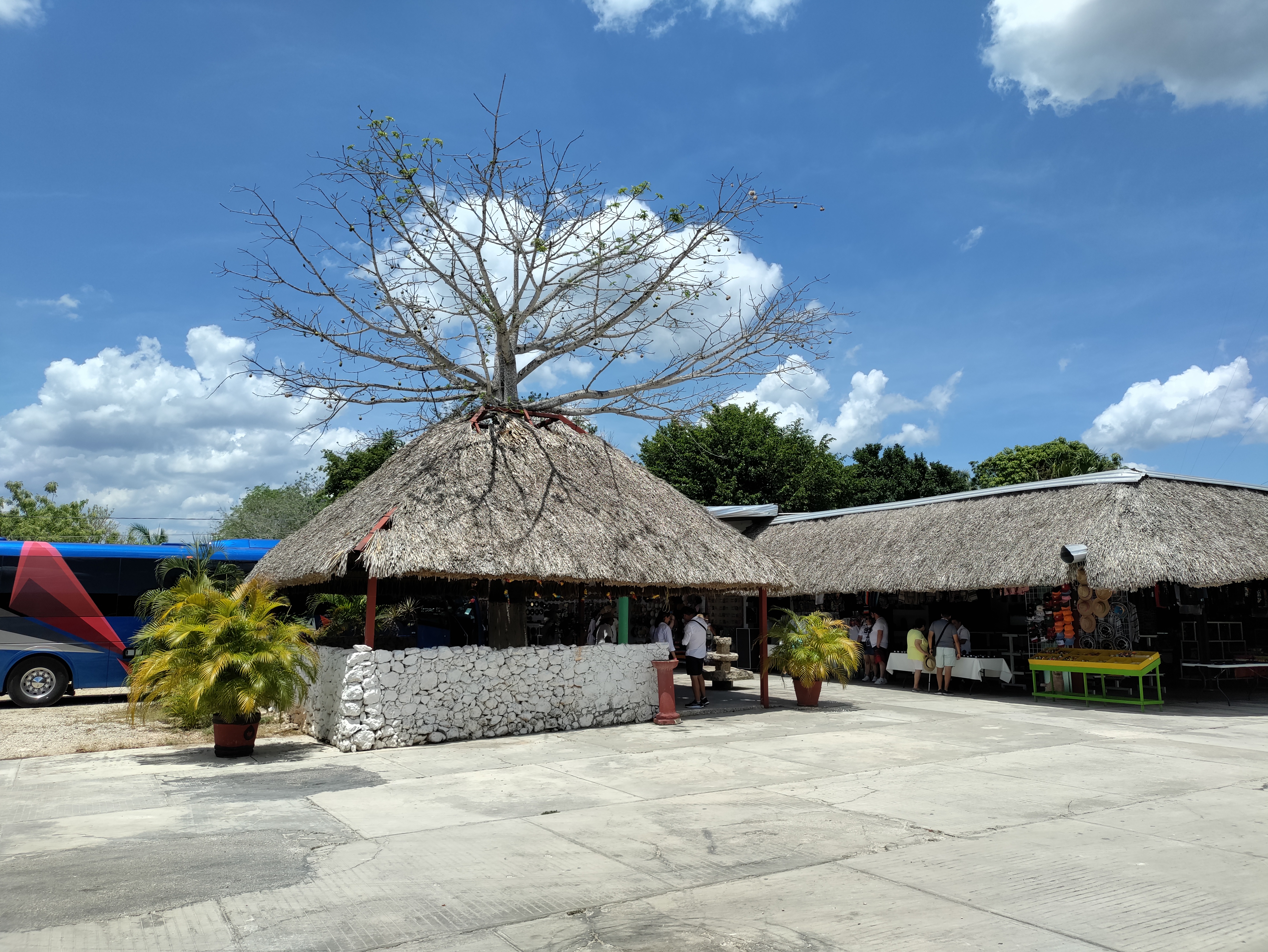 Chilam balam restaurante image 5