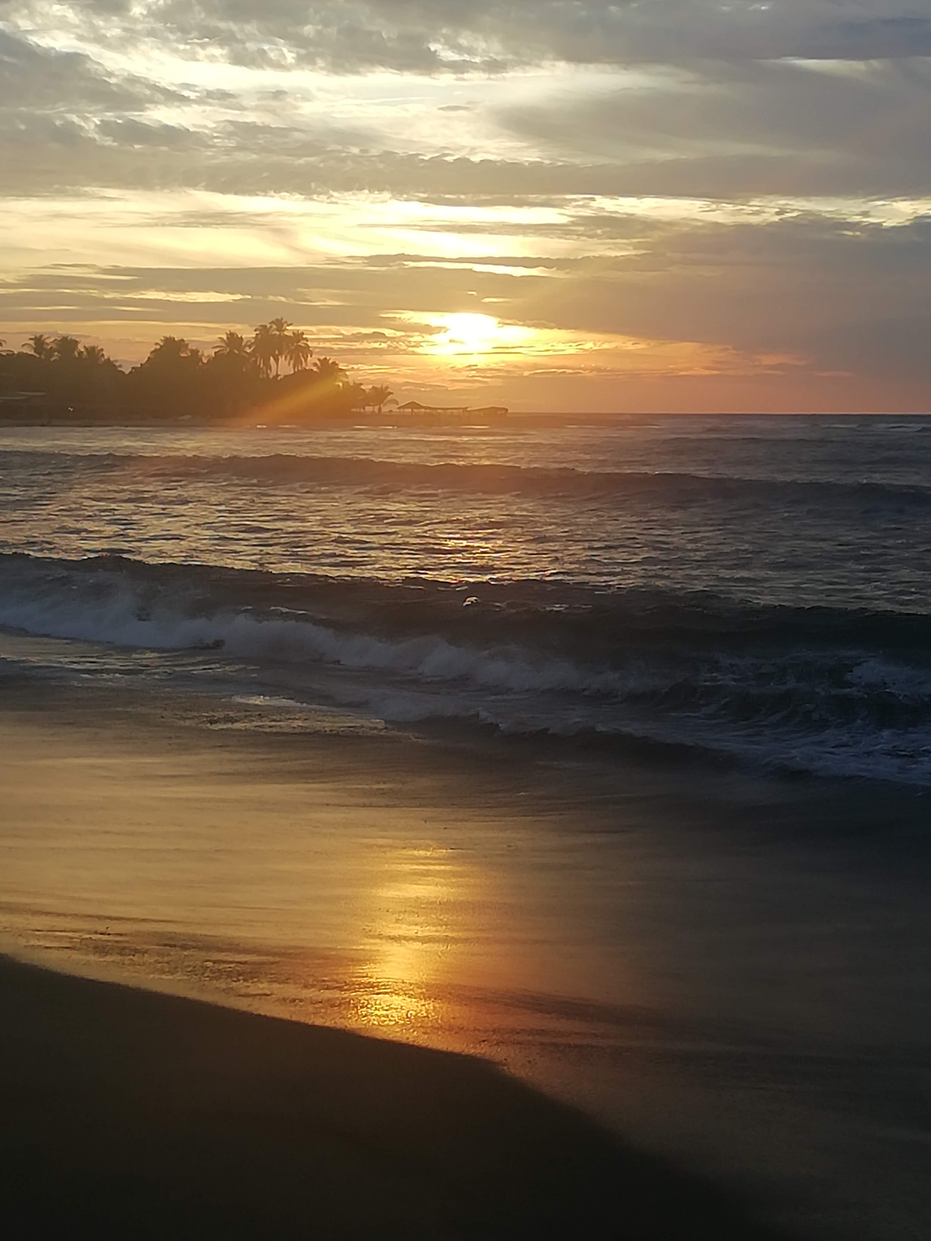 ENRAMADA SOSA image 5