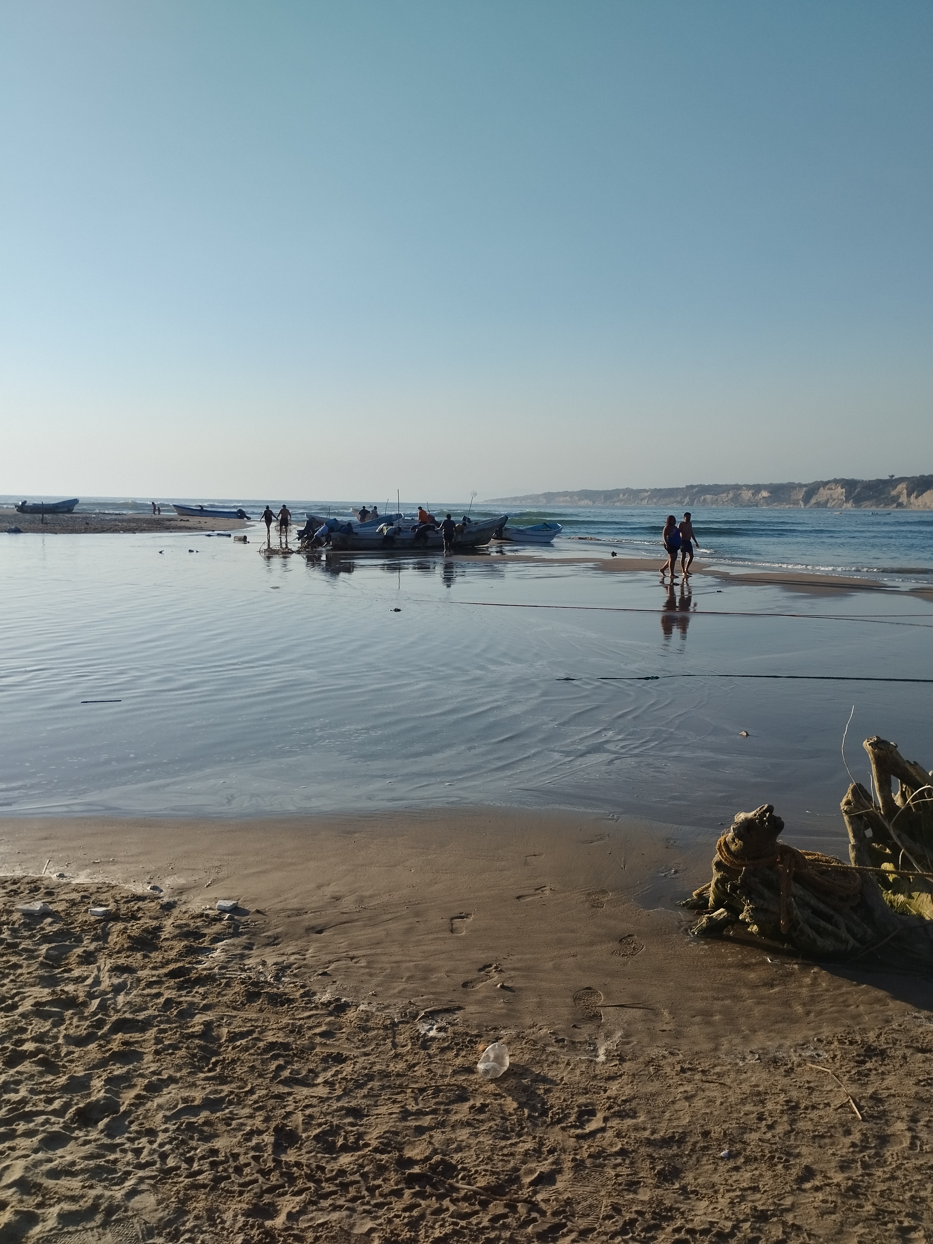 ENRAMADA SOSA image 10