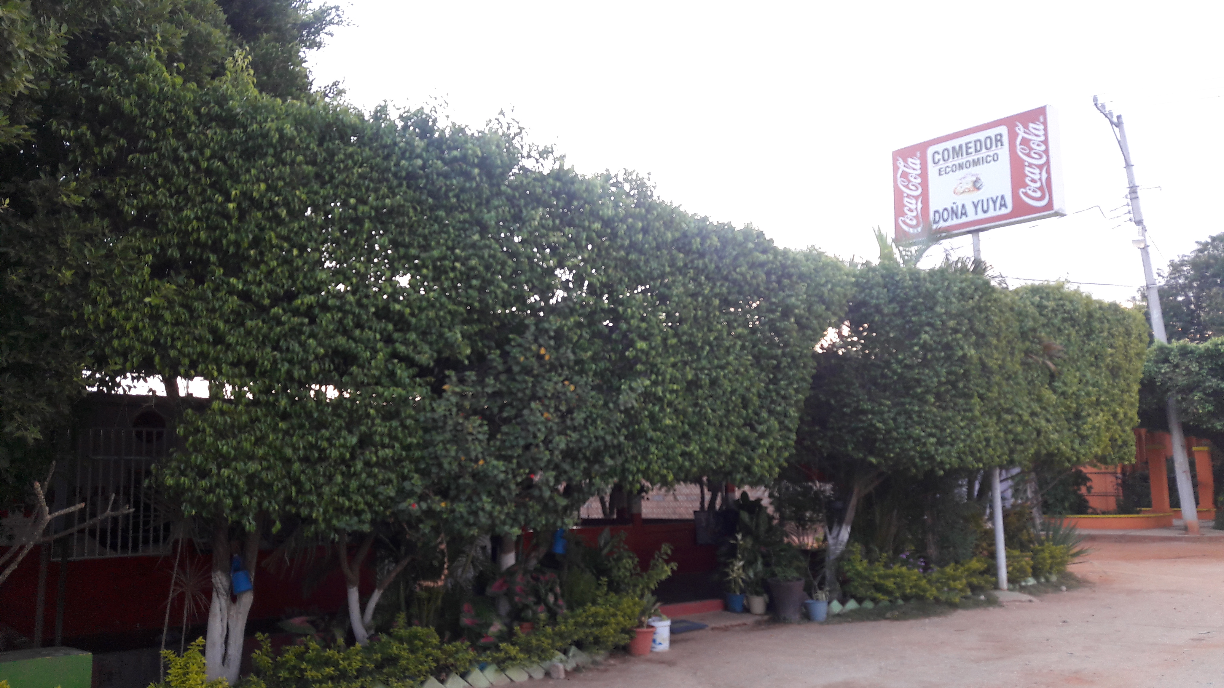 Comedor Doña Yuya image 2