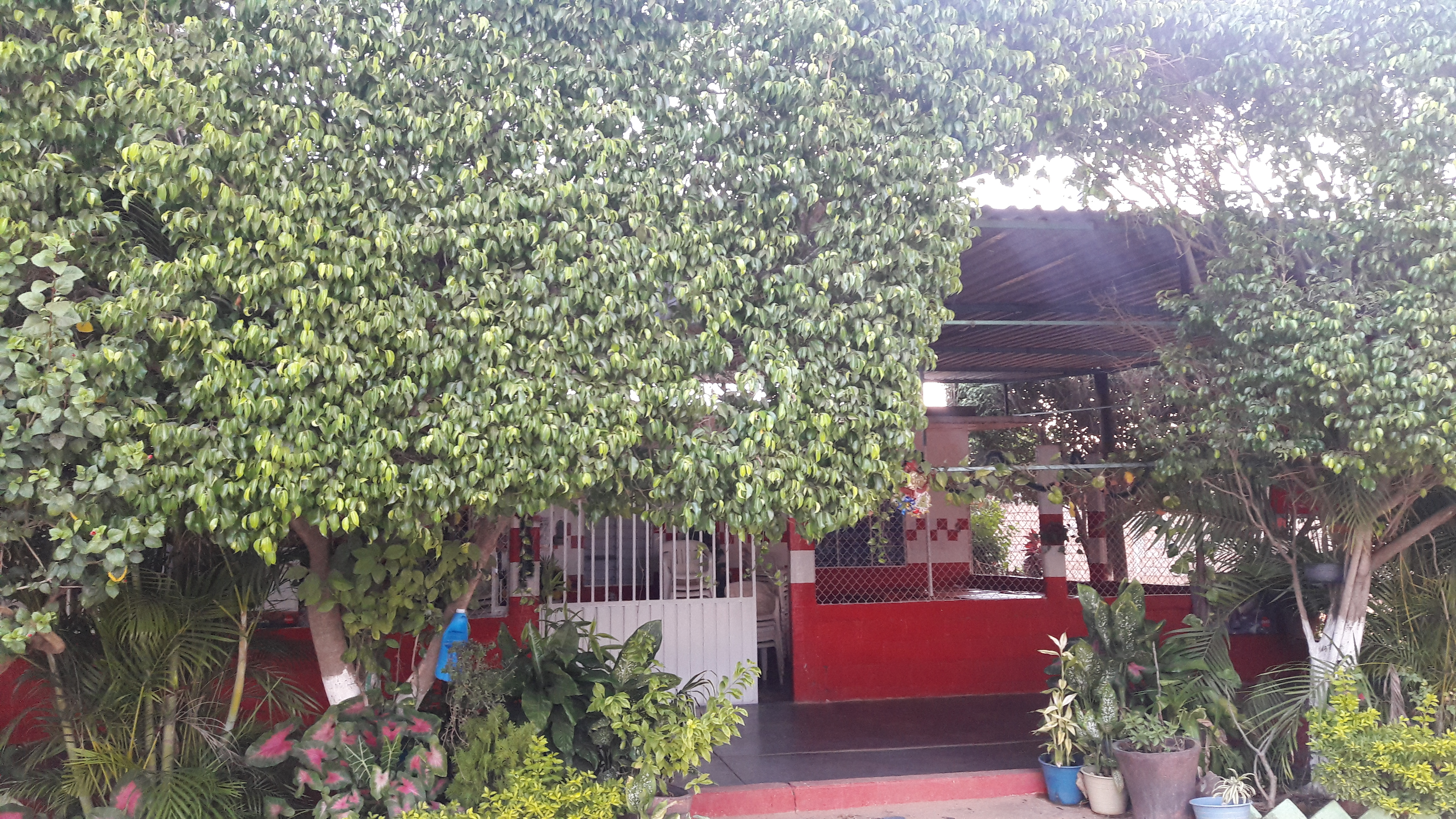 Comedor Doña Yuya image 6