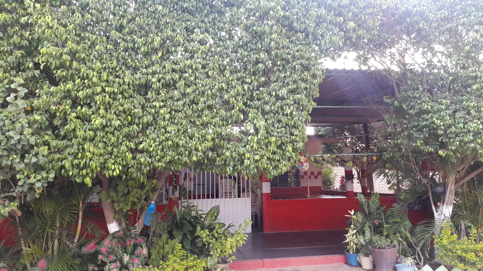 Comedor Doña Yuya image 6