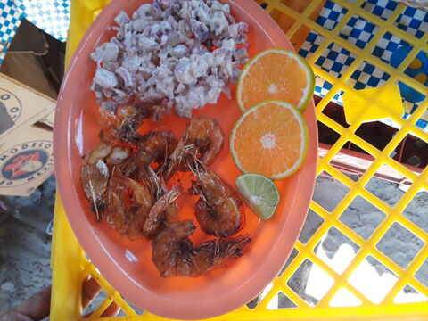 Palapa La Sirenita image 5