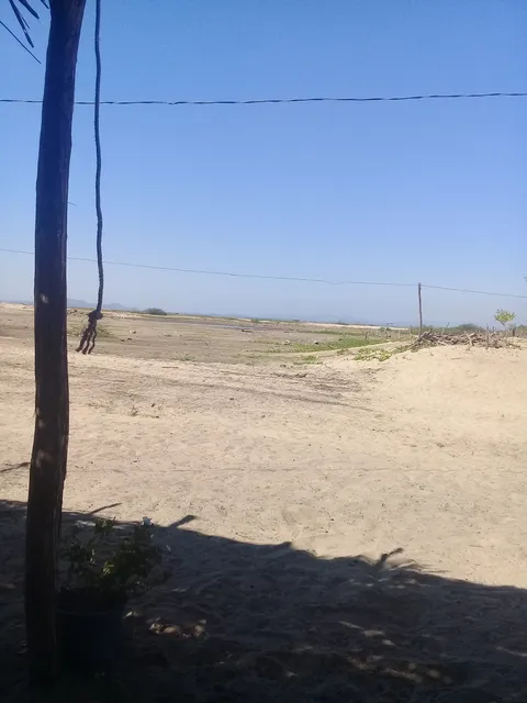 Palapa Mar Y Abi image 1