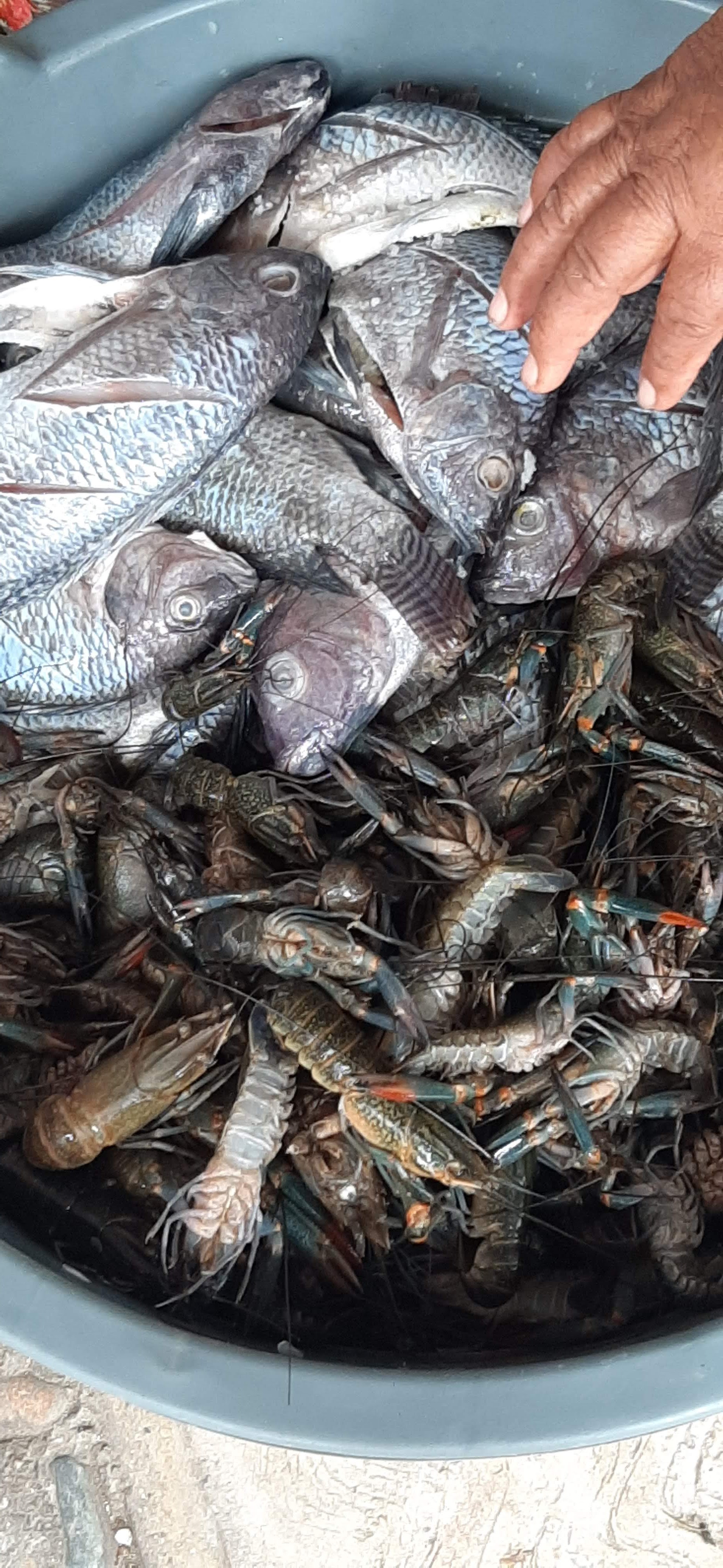 Taqueria Amigo Rey image 3