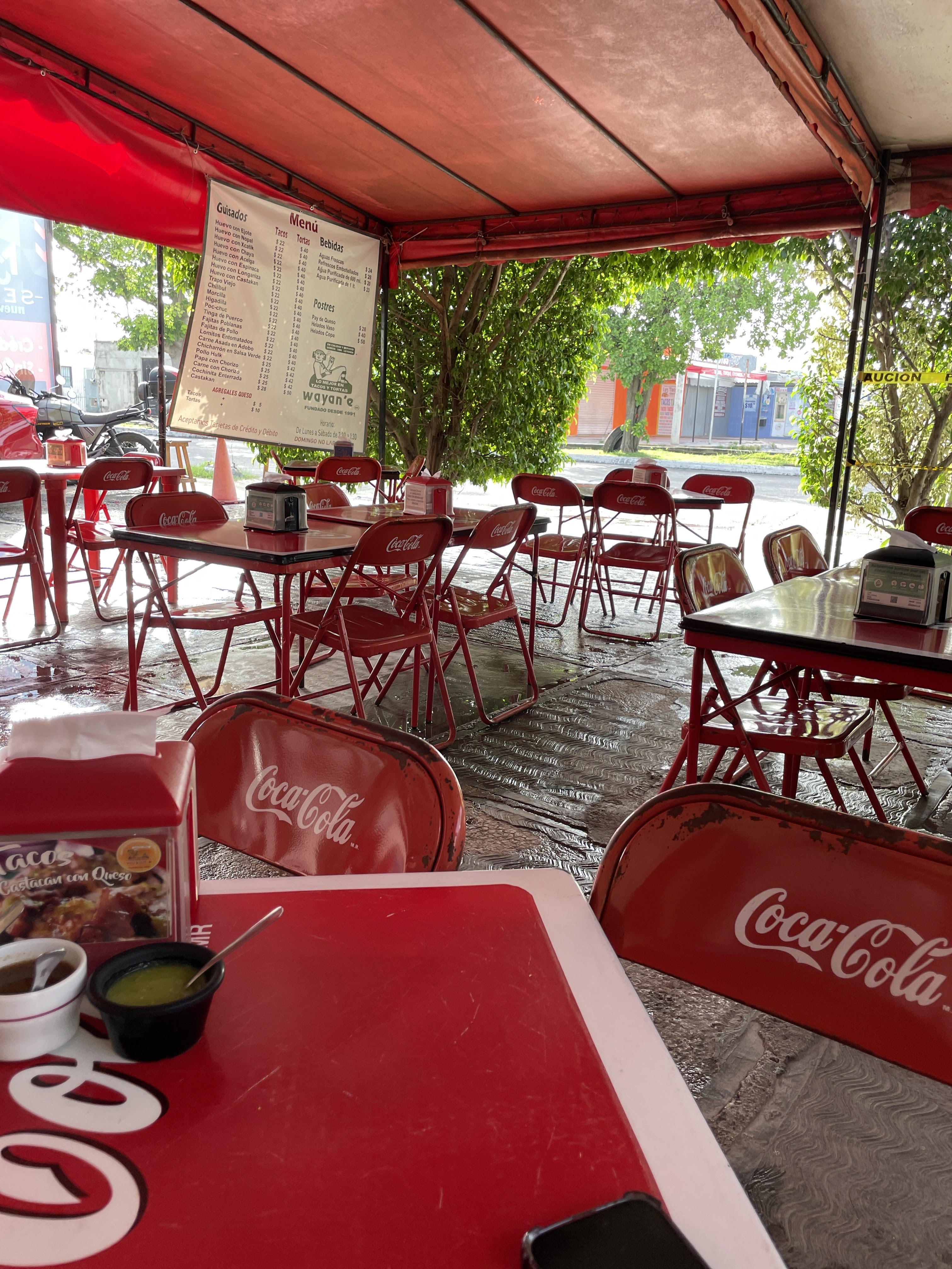 Wayan'e Mérida image 8