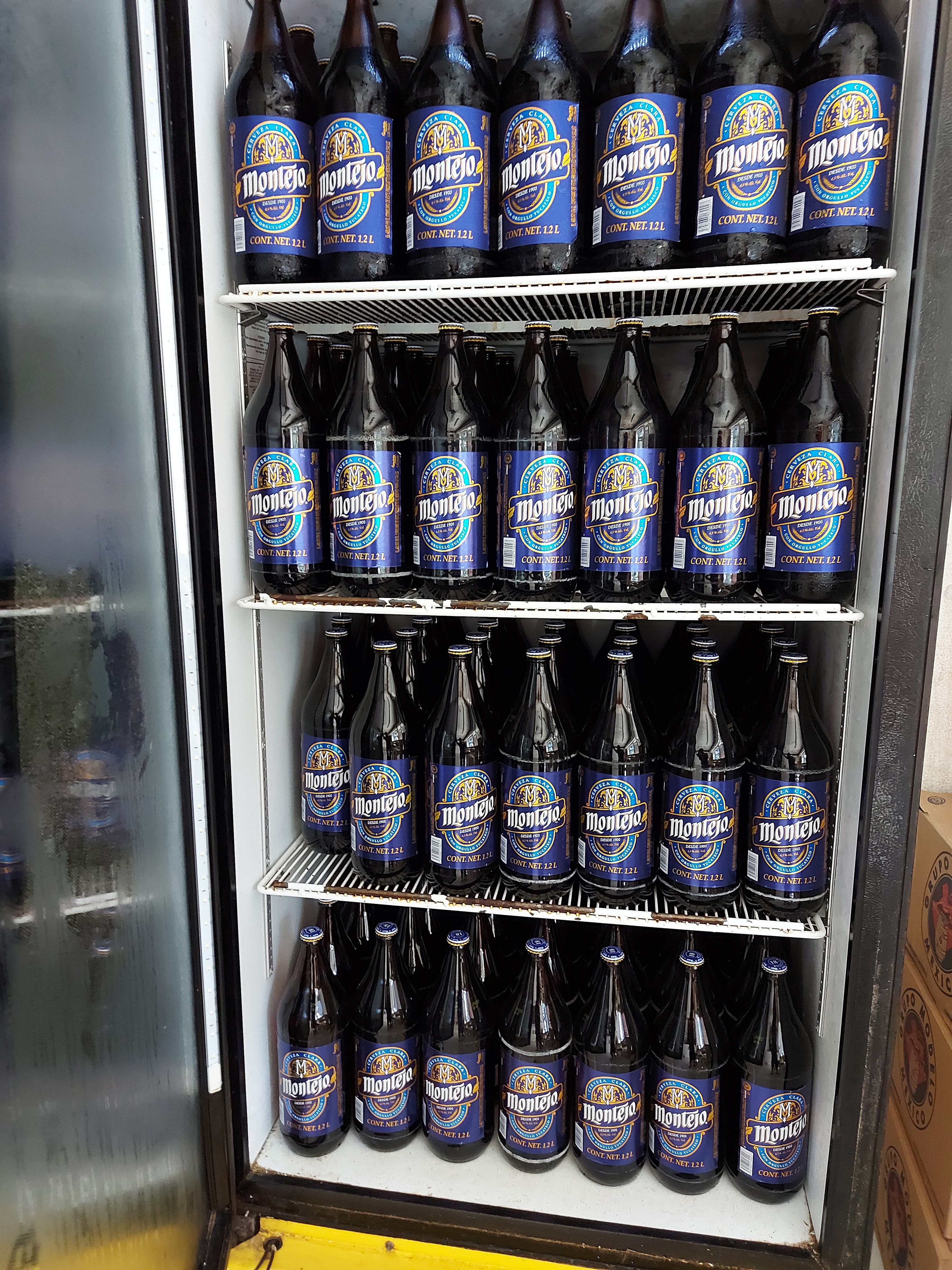 Modelorama La subidita image 4