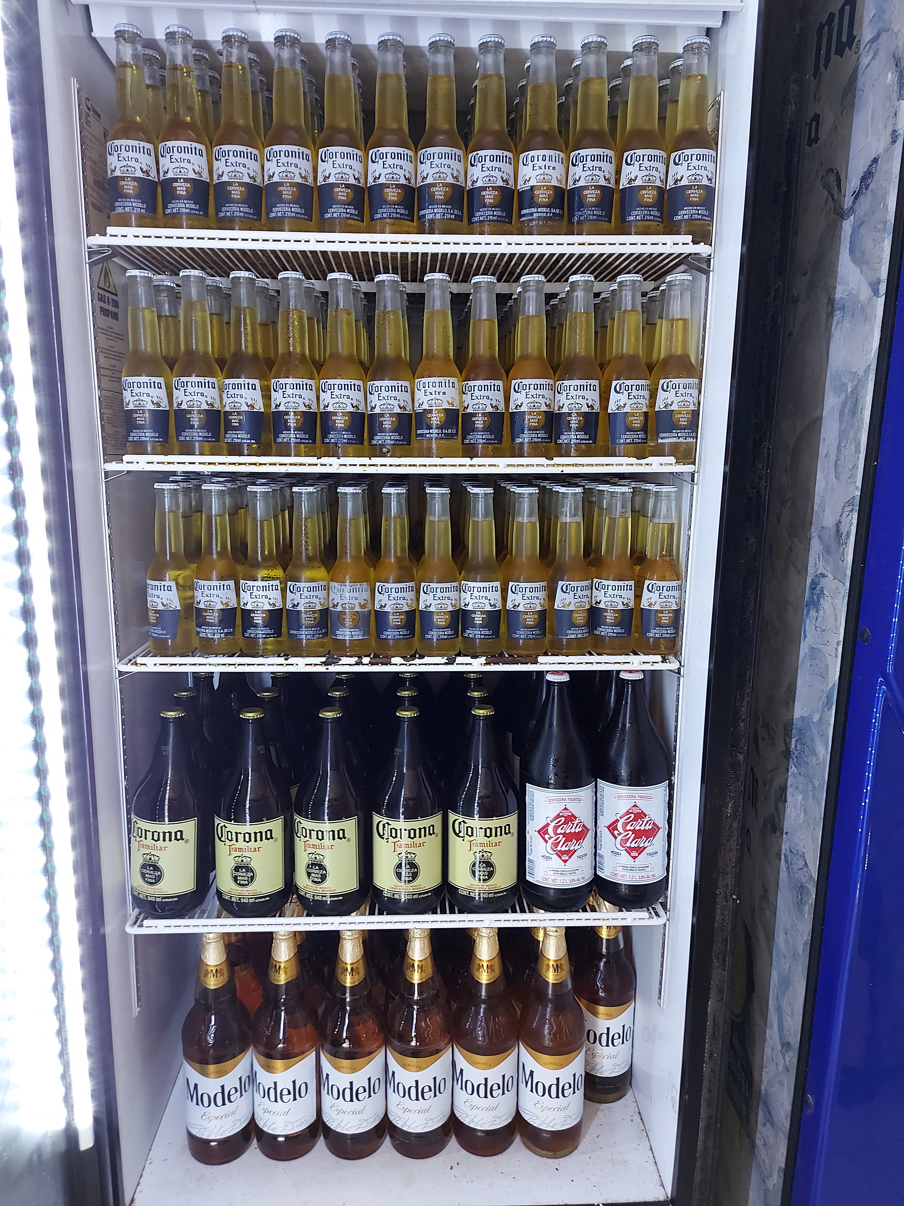 Modelorama La subidita image 6