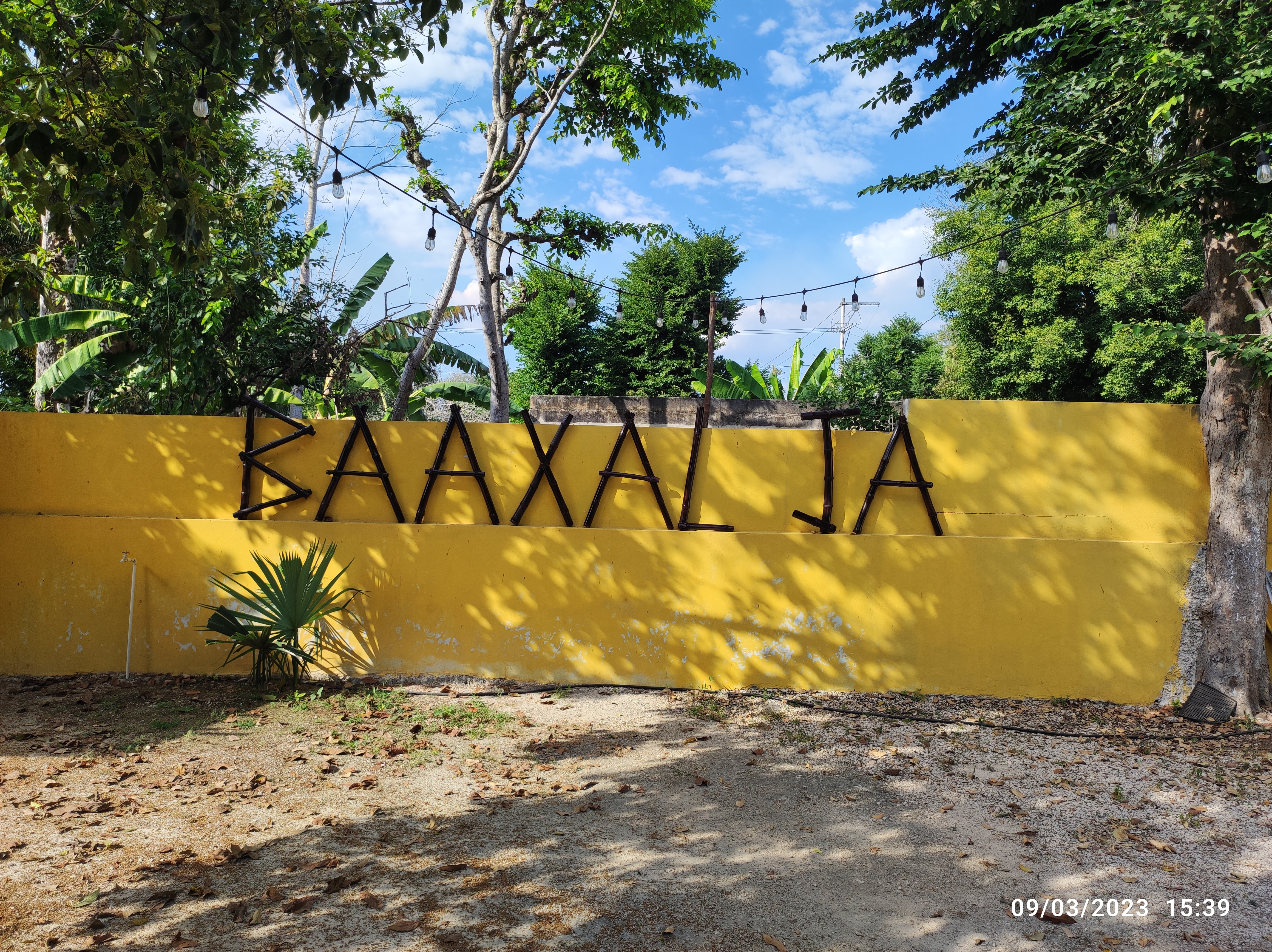 Baaxal ja image 3