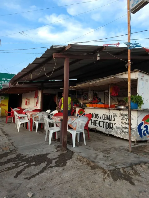 Taquería Hector image 6