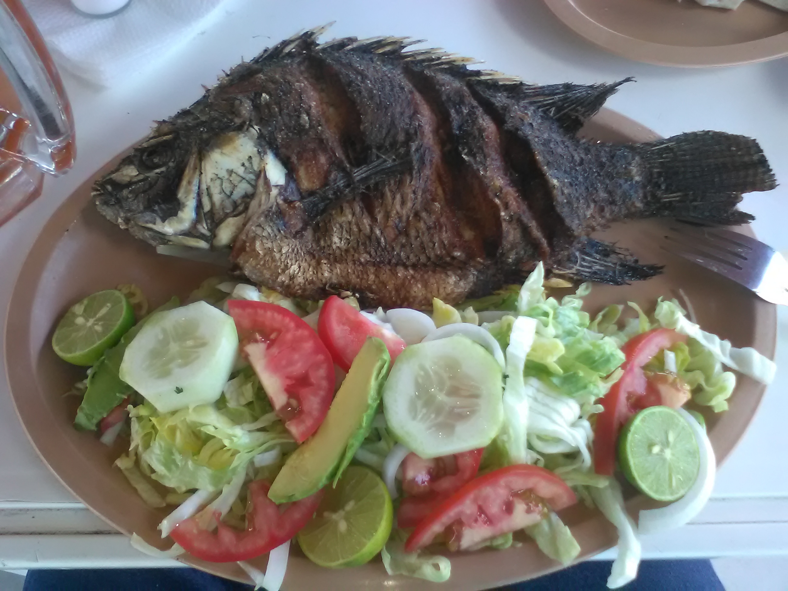 Restaurante El Negro image 3