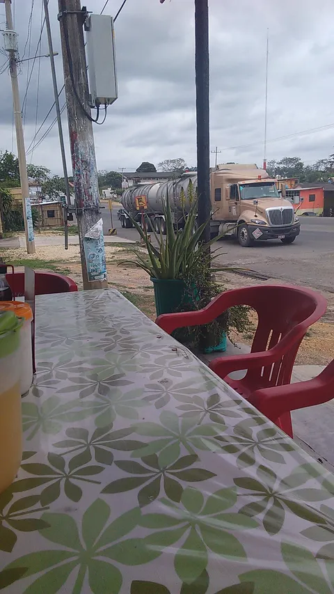 Comedor Oli image 3