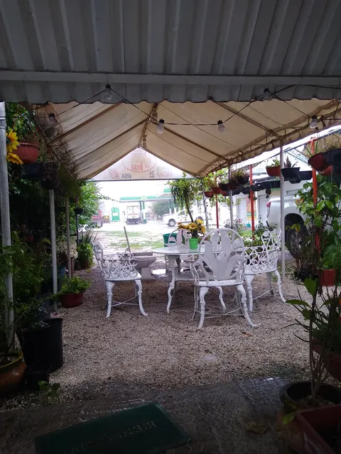 Restaurante Las Teja image 1