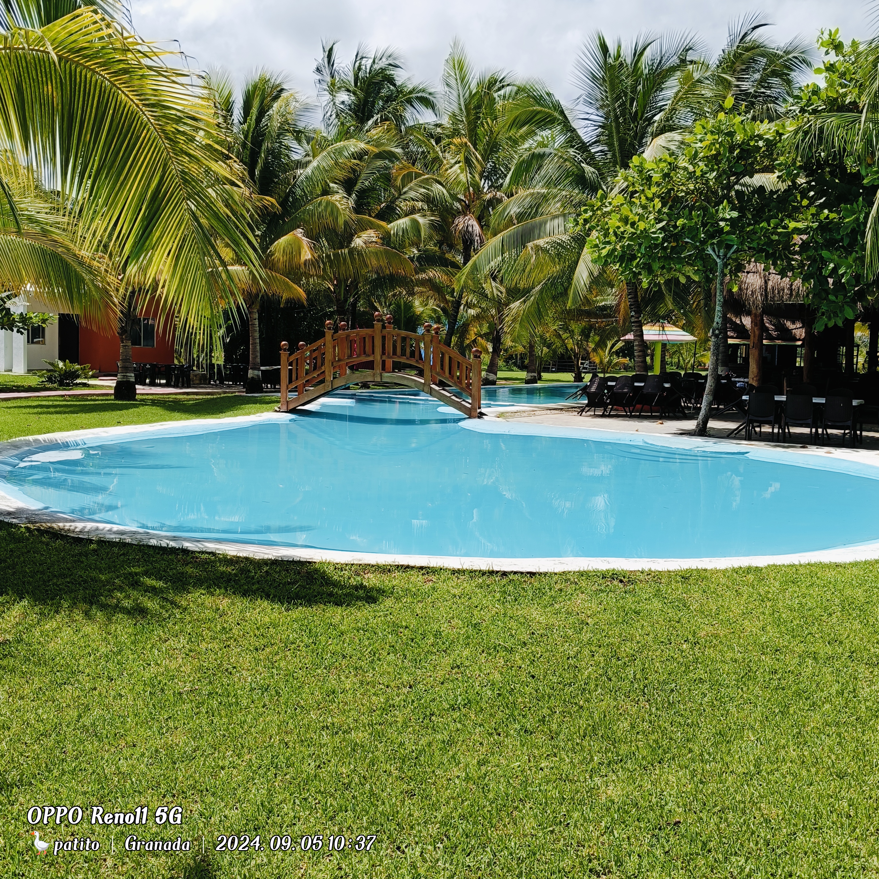 Restaurante Los Tucanes image 3