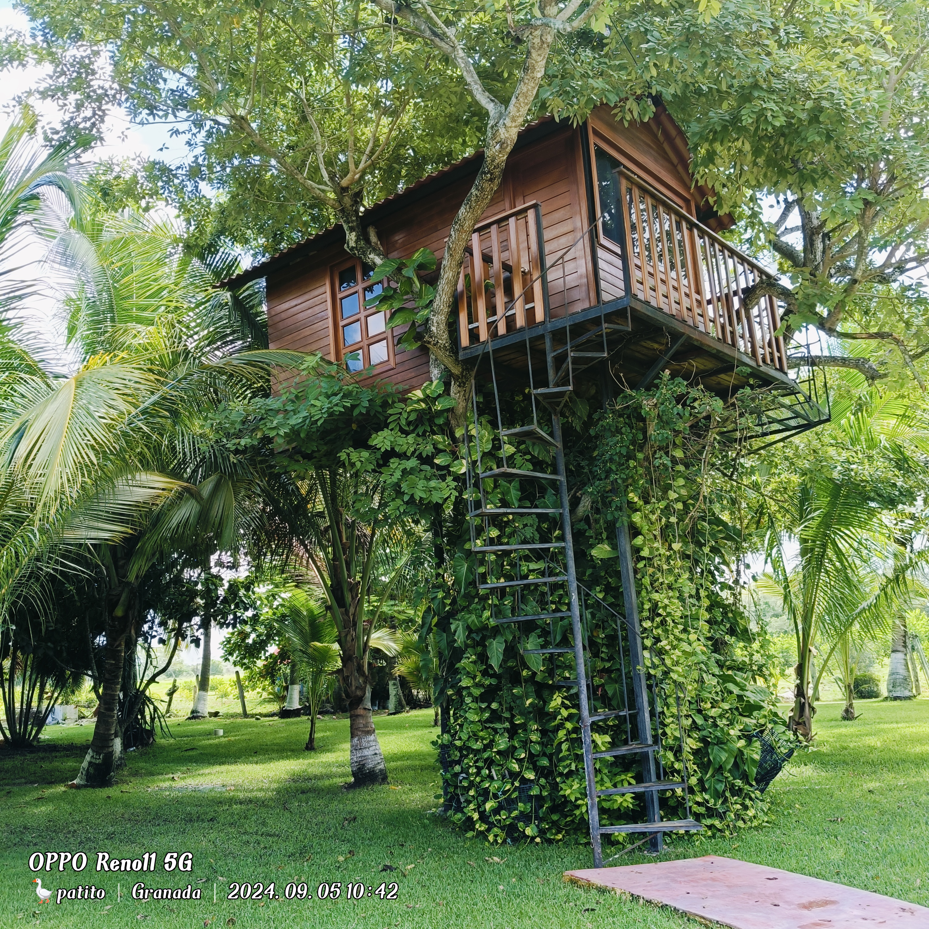 Restaurante Los Tucanes image 8