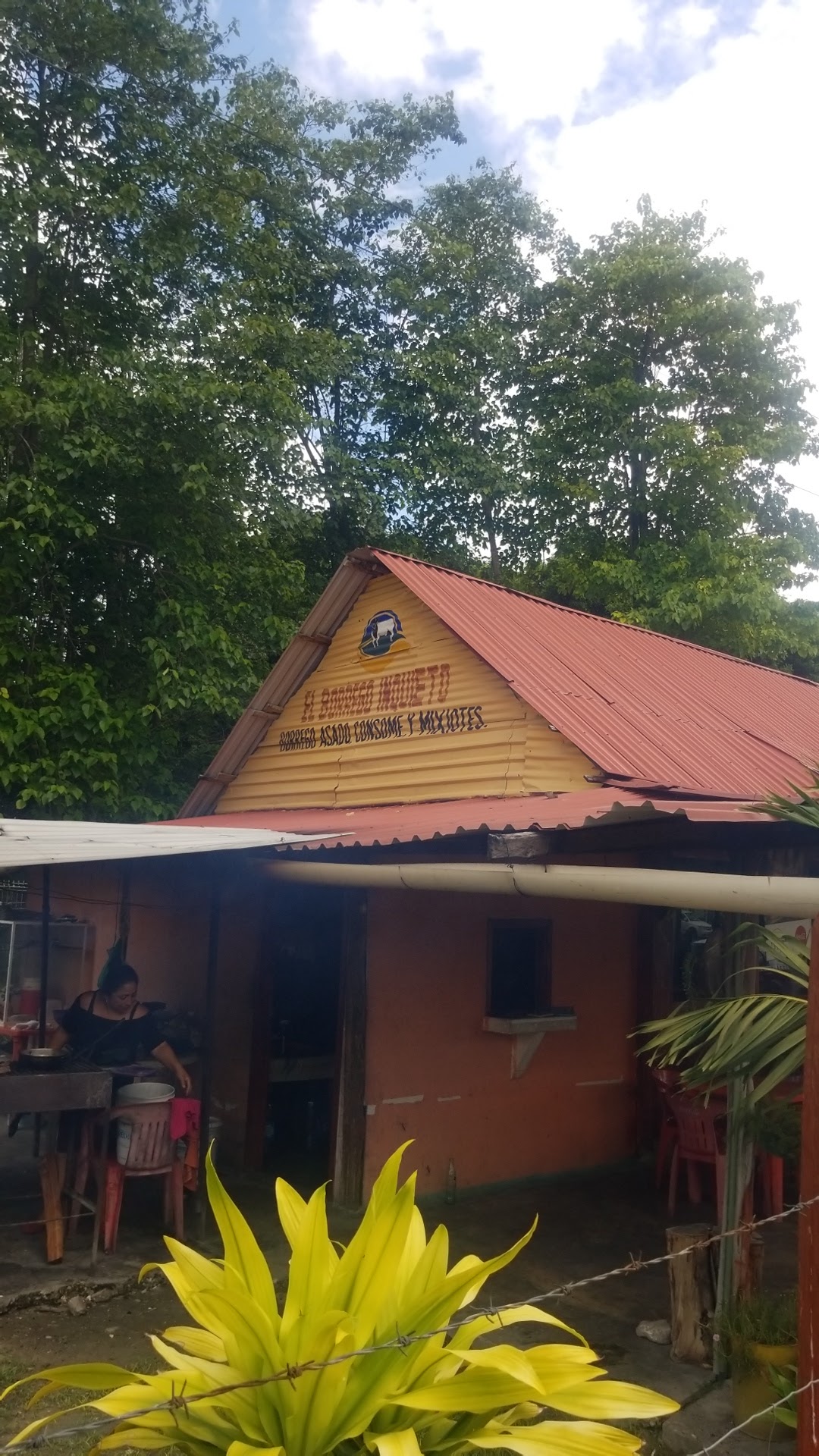 EL BORREGO INQUIETO image 2