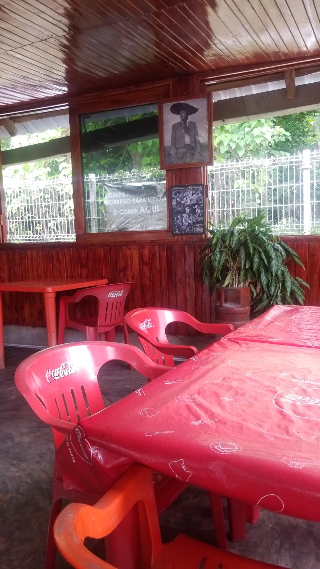 EL BORREGO INQUIETO image 3