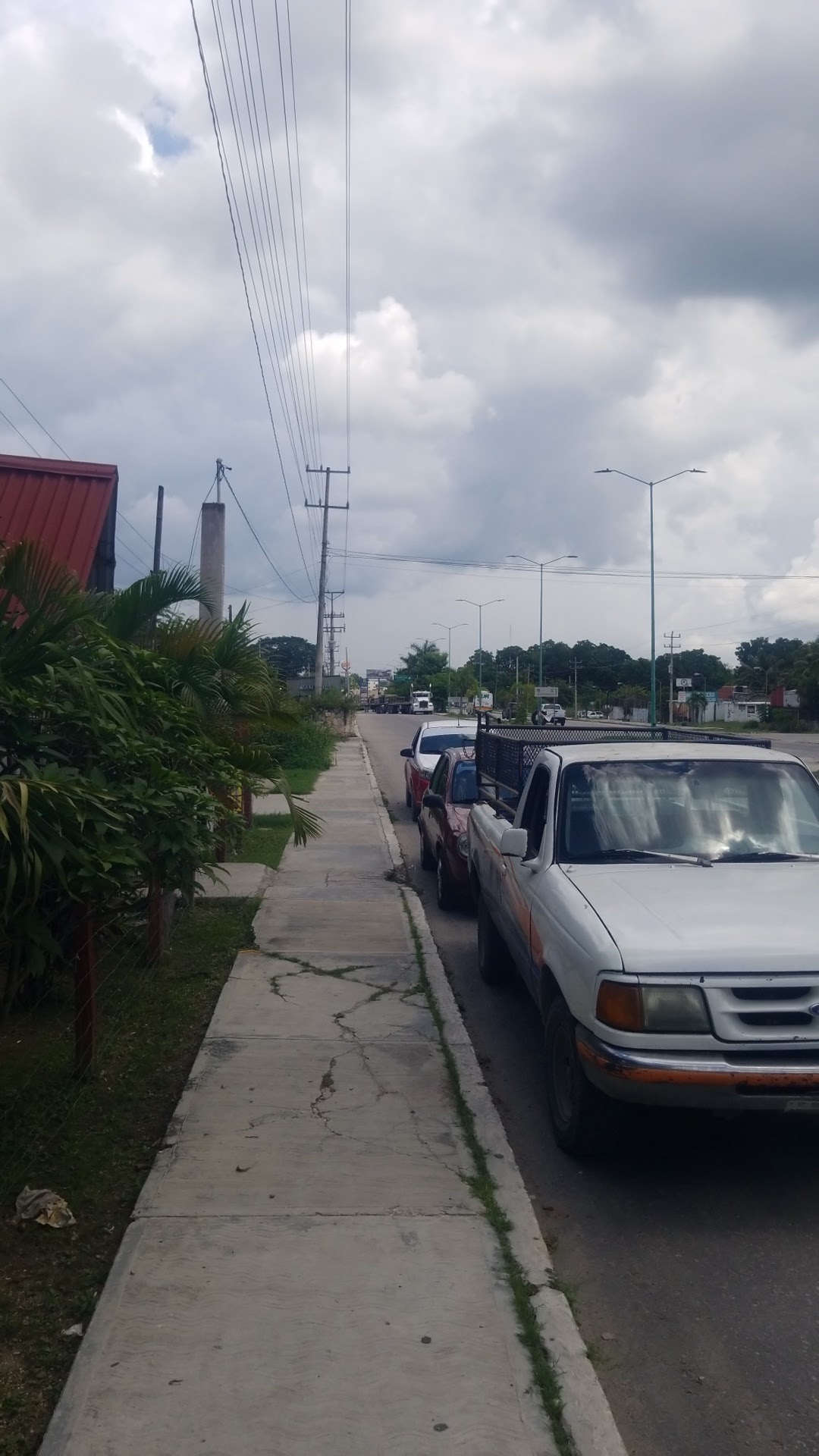 EL BORREGO INQUIETO image 6