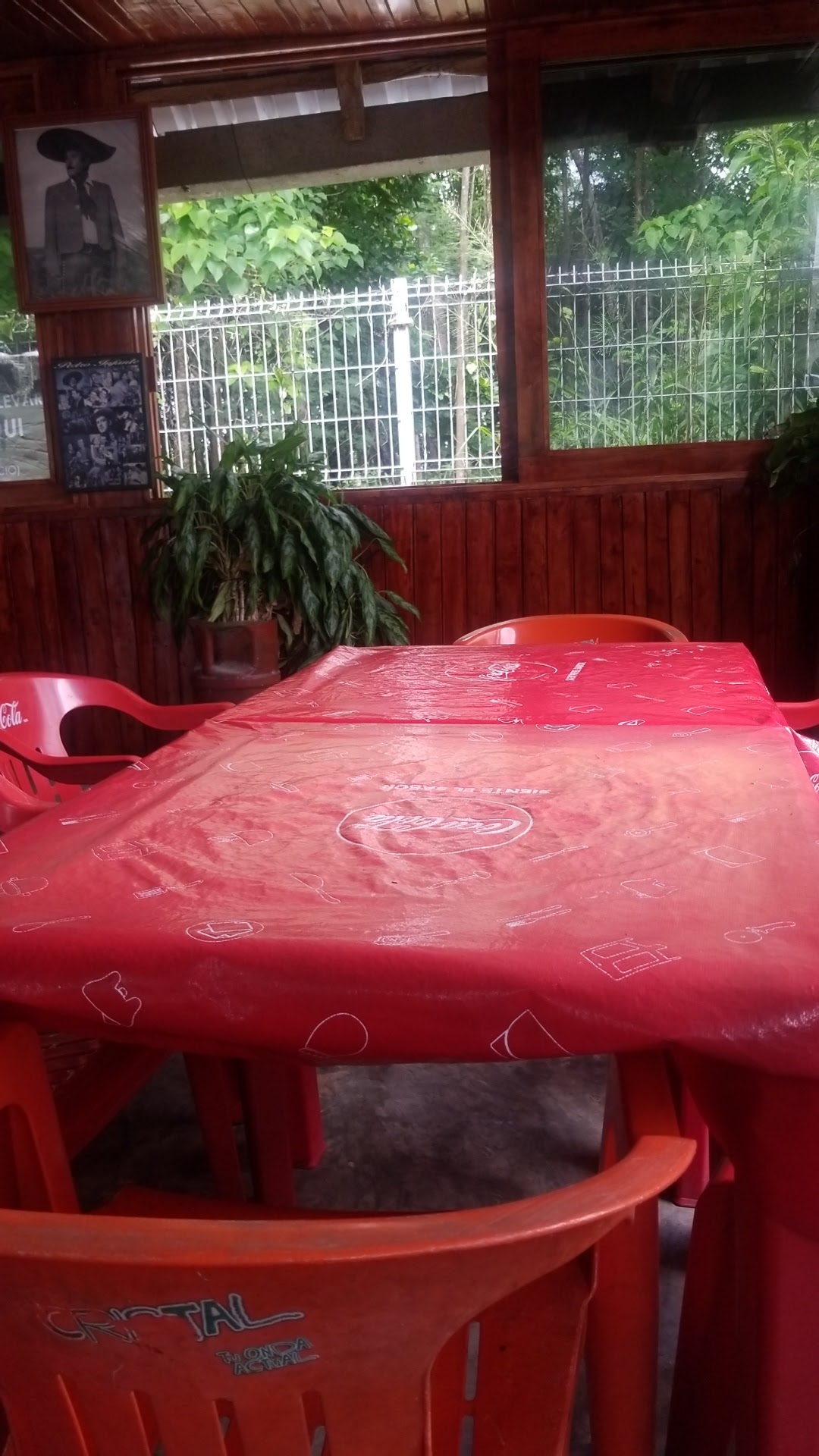 EL BORREGO INQUIETO image 7