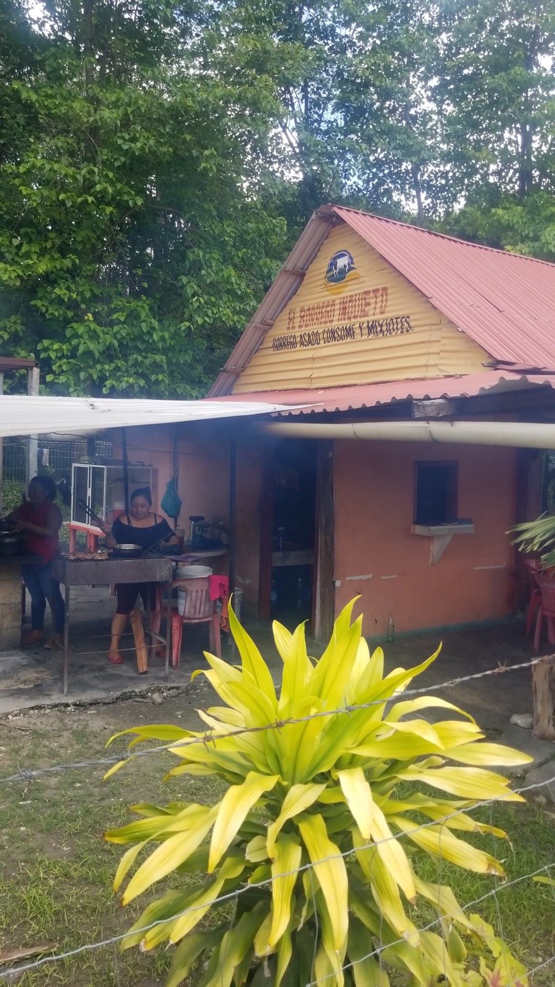 EL BORREGO INQUIETO image 8