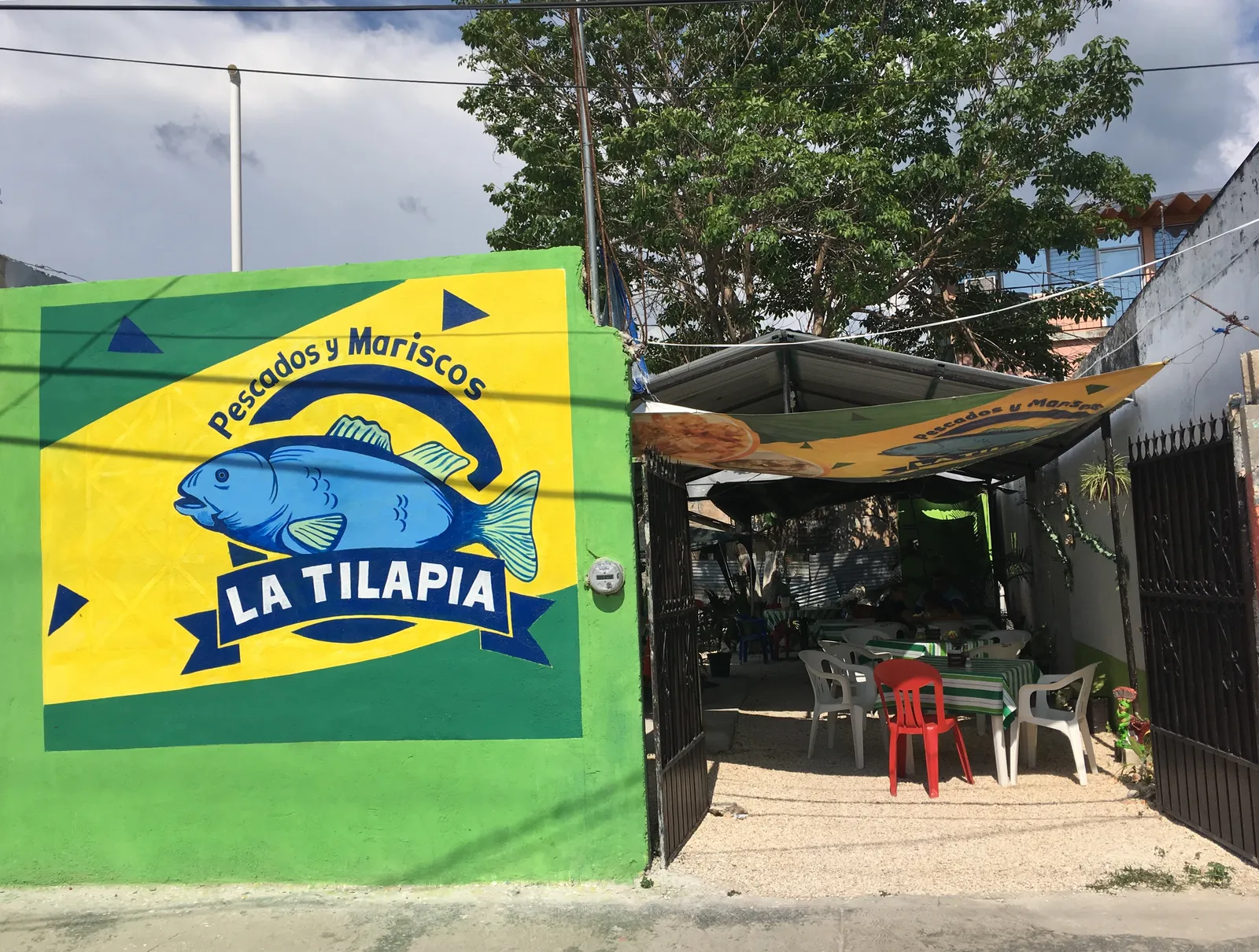 La Tilapia escarcega image 5