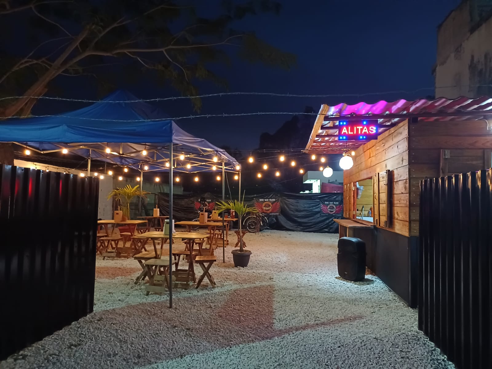 Mr. Wings Alitas y mas image 3