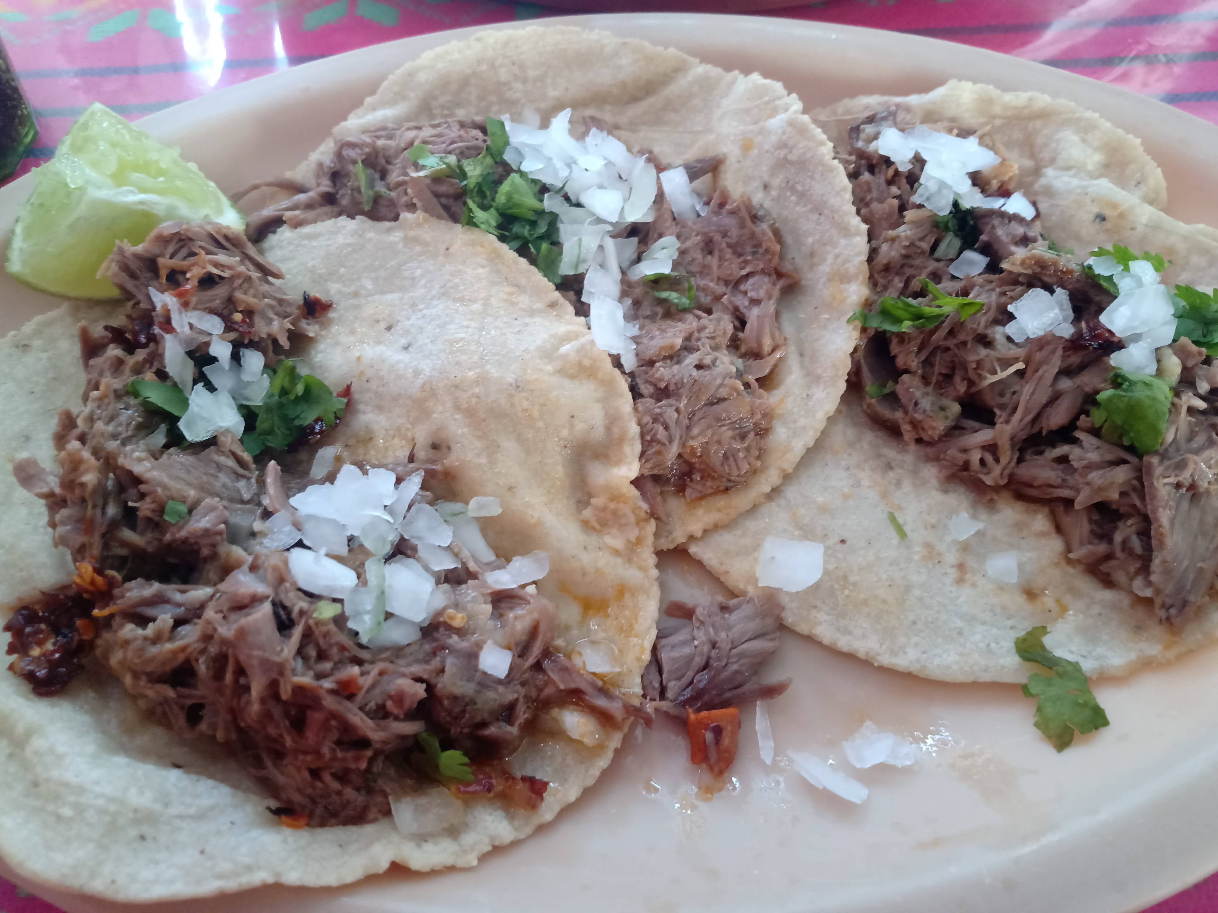 La Oveja Negra image 4