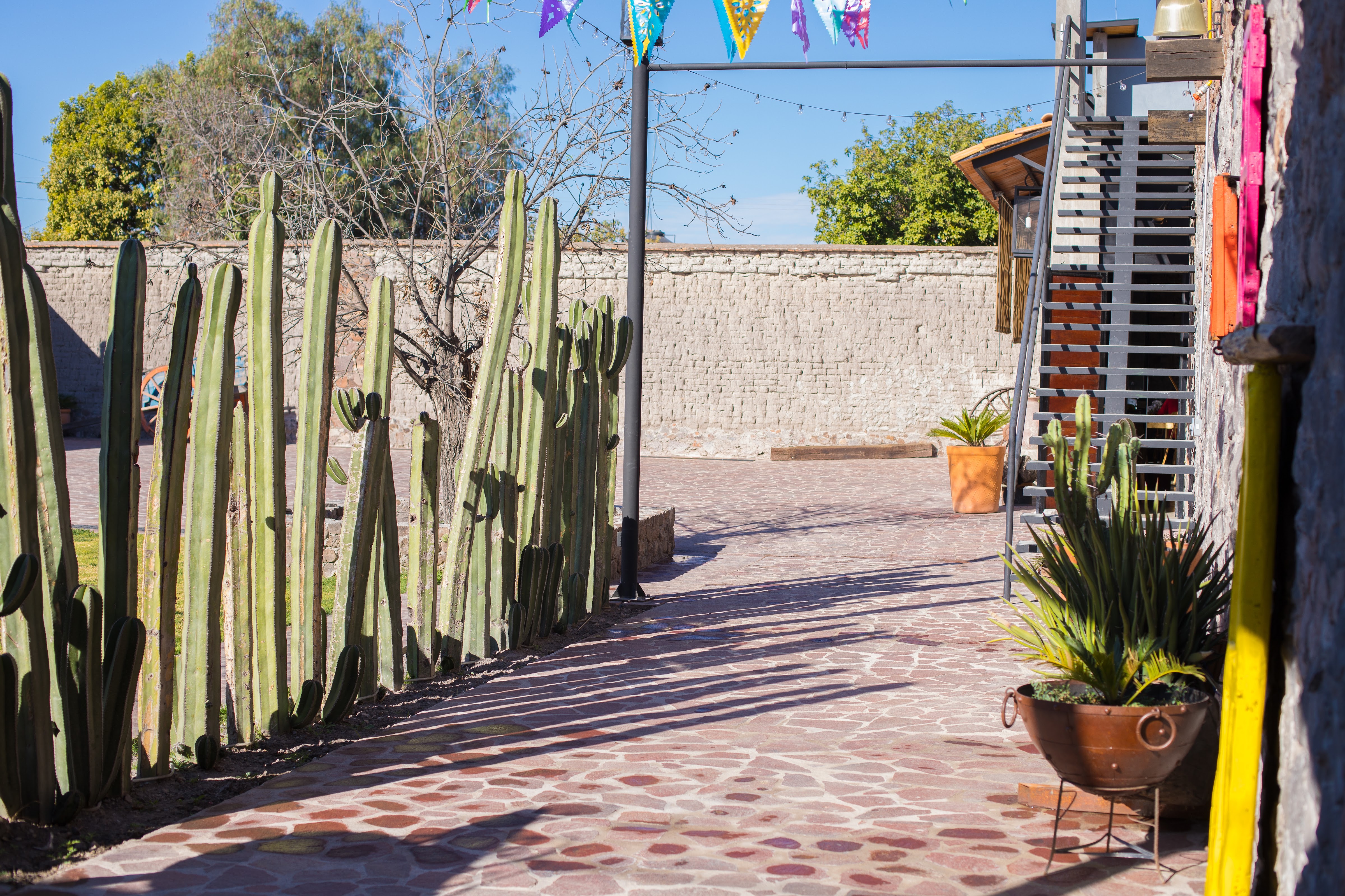 LA GALERIA DEL WAFFLE image 4