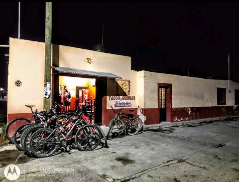 Tacos y Gringas Chava image 4