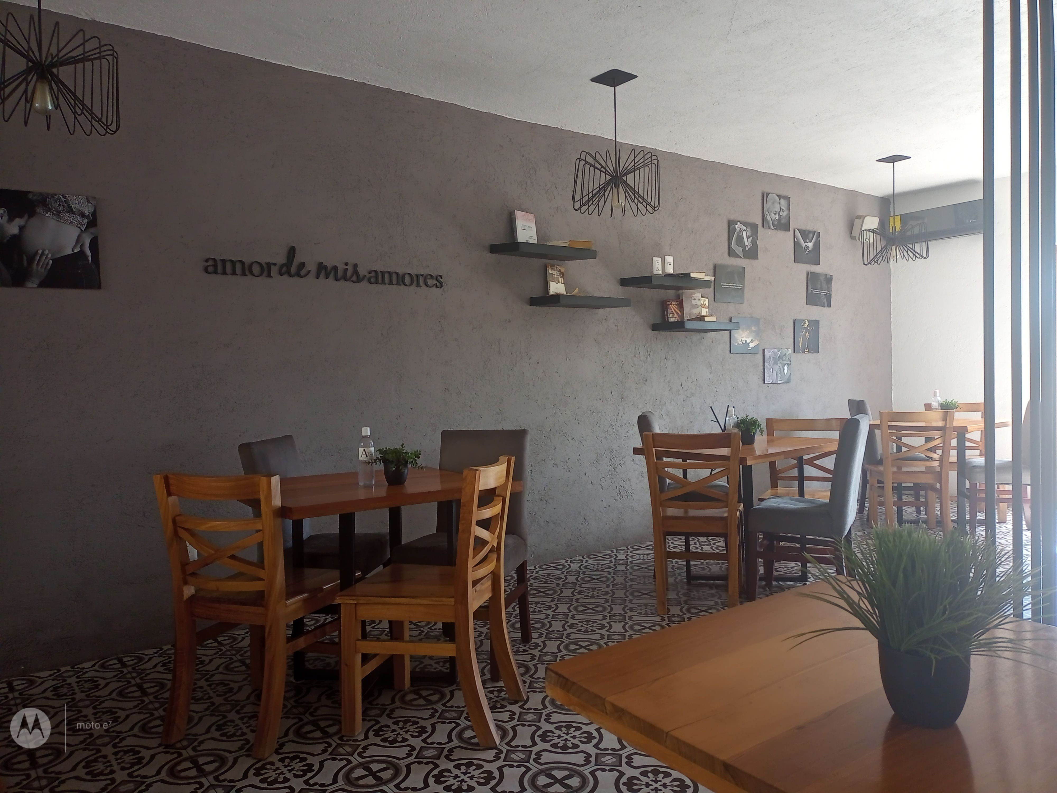 Amor de Mis Amores image 3