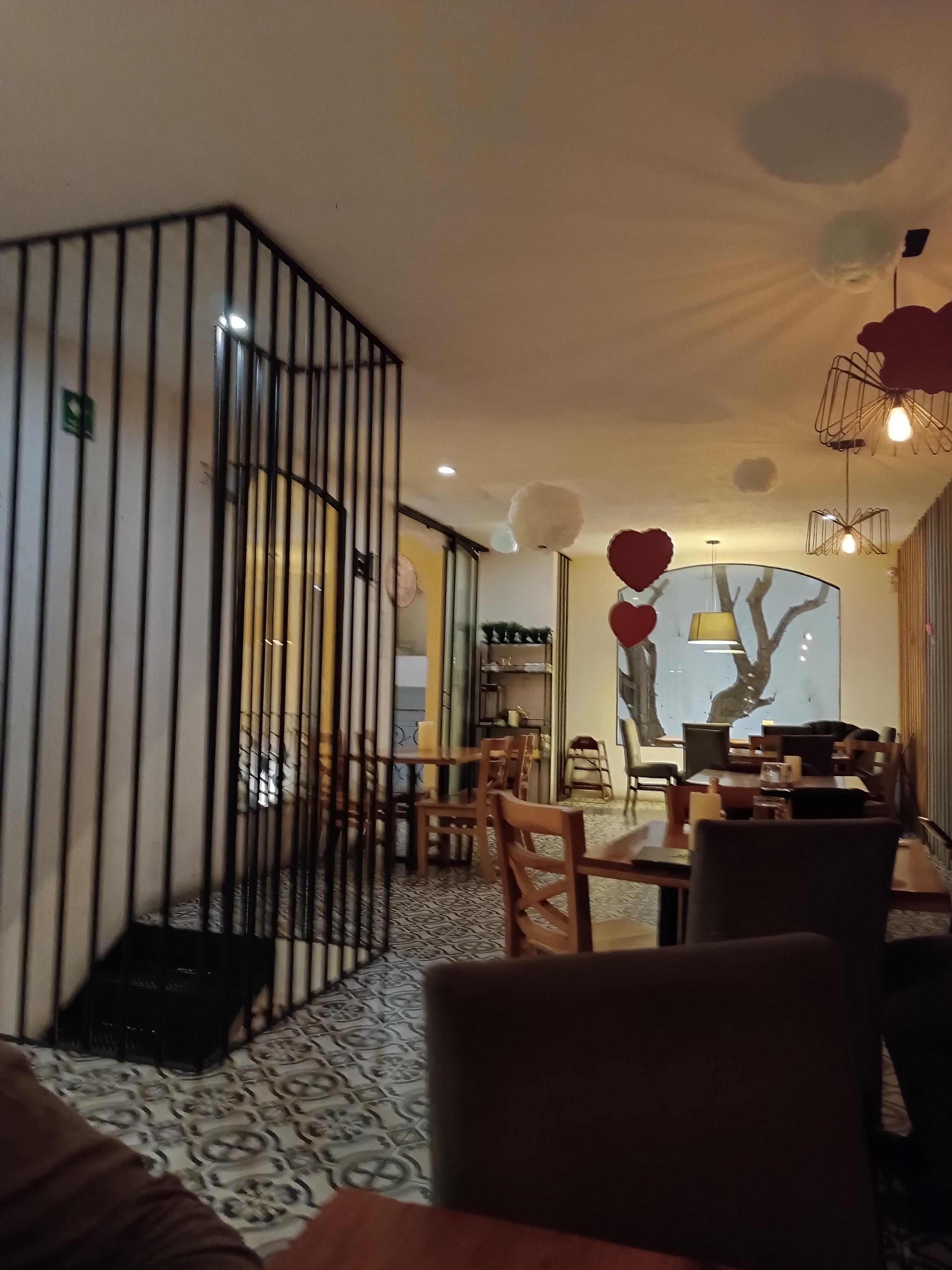 Amor de Mis Amores image 9