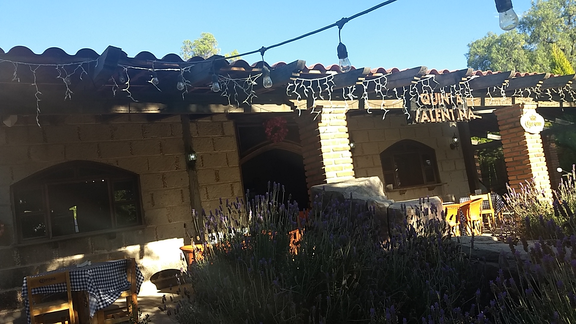 Quinta Valentina image 10