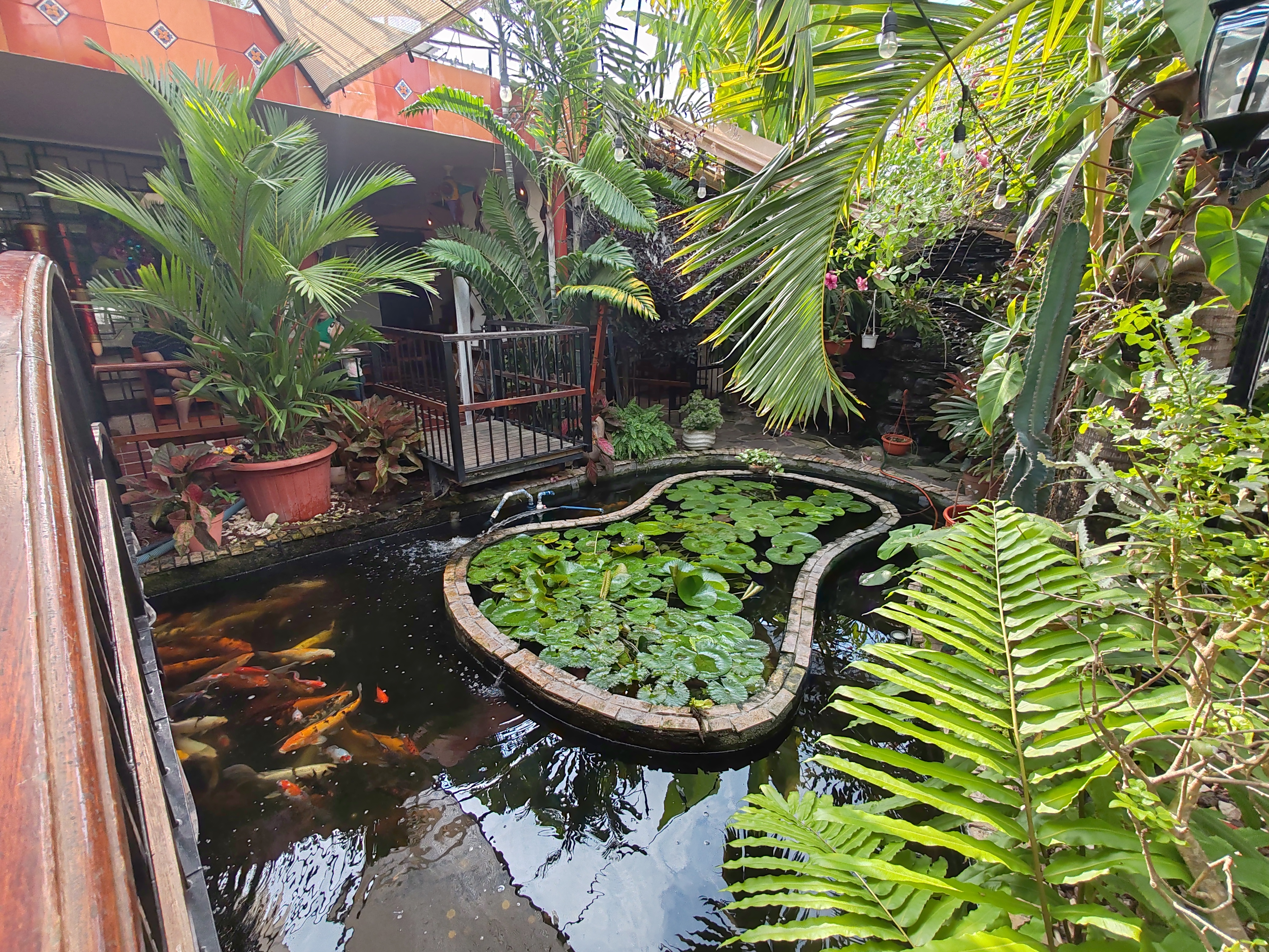 El Mesón Huasteco image 3