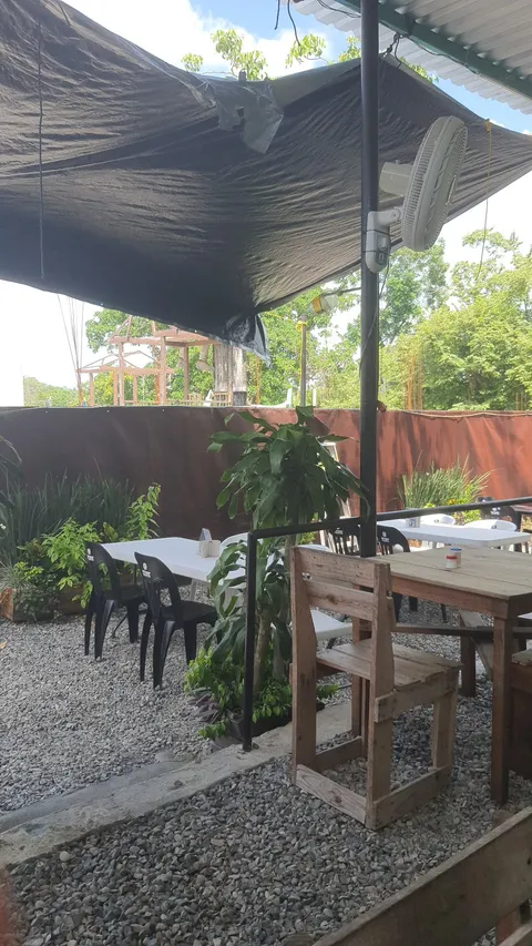 El cedro image 1