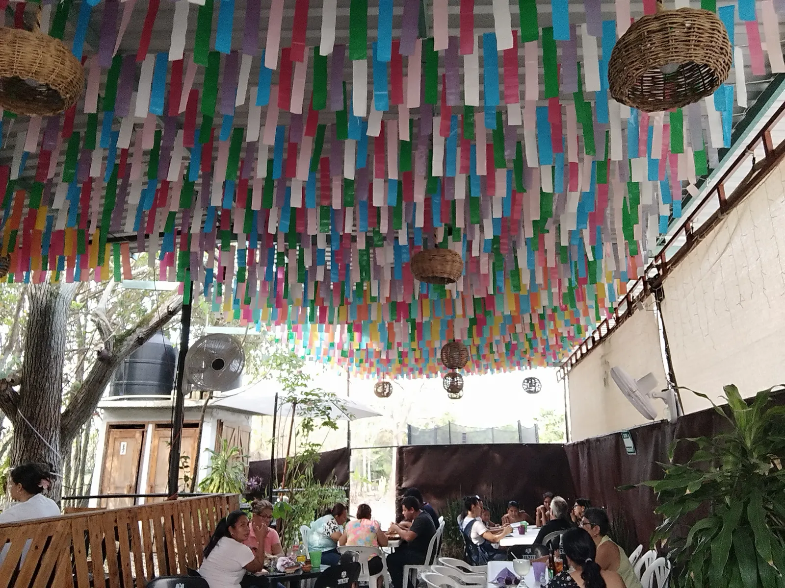 El cedro image 4