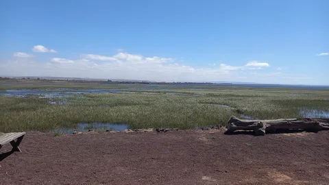 San Javier image 6