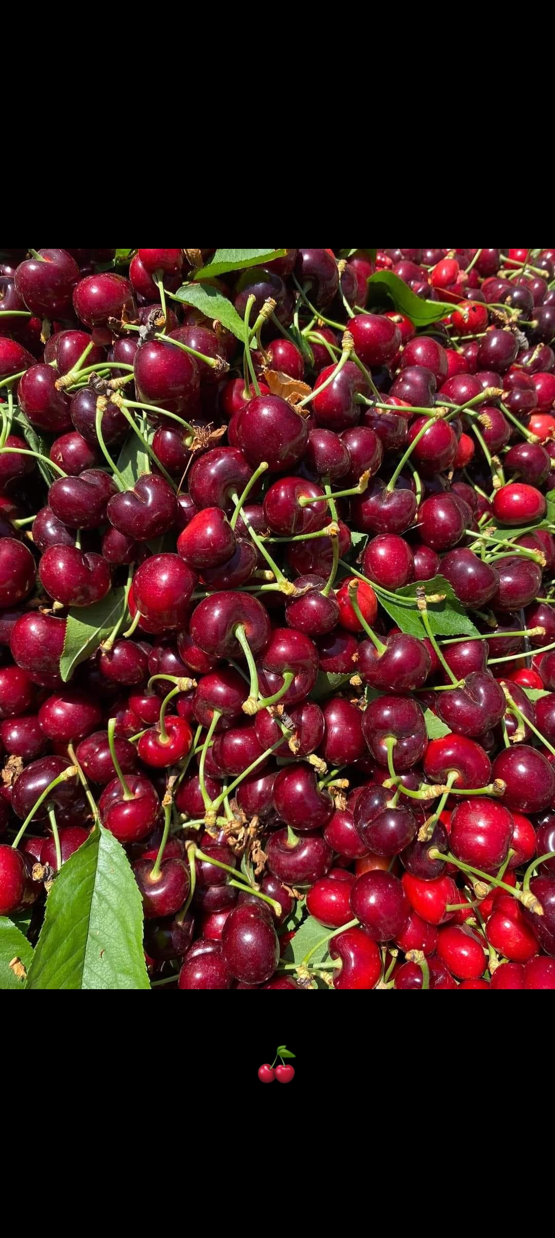 Brithany valdez image 8