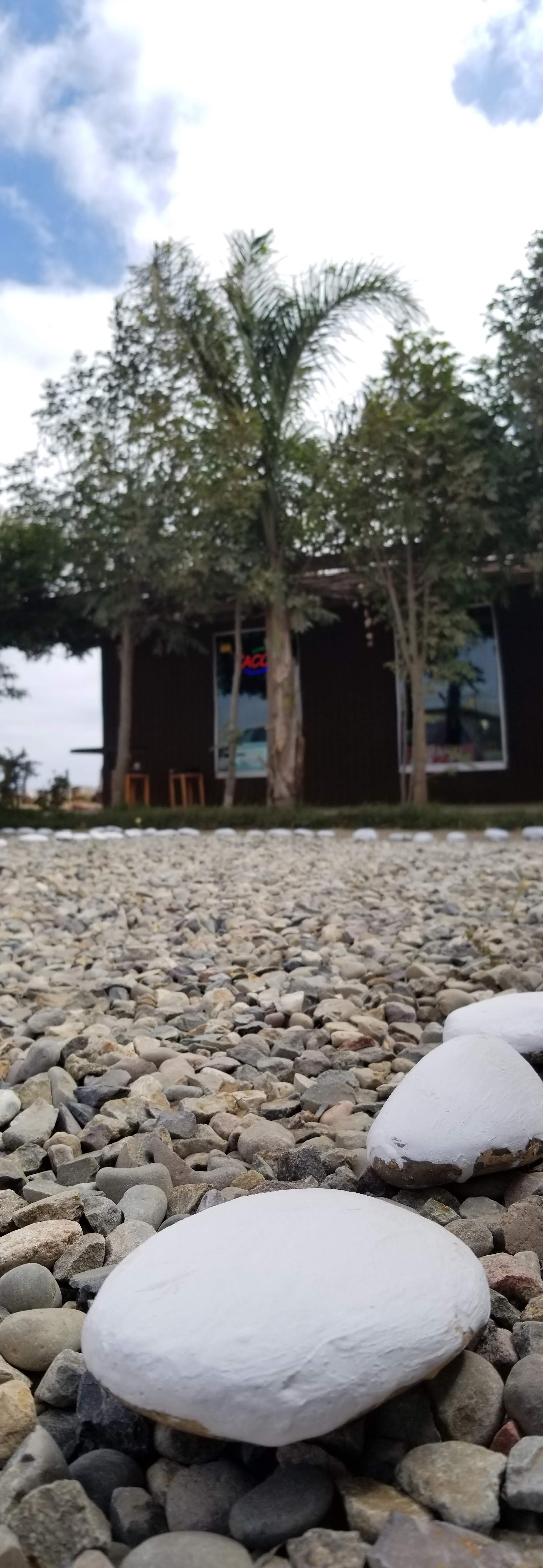 Mariscos Restaurant El Caracol image 10