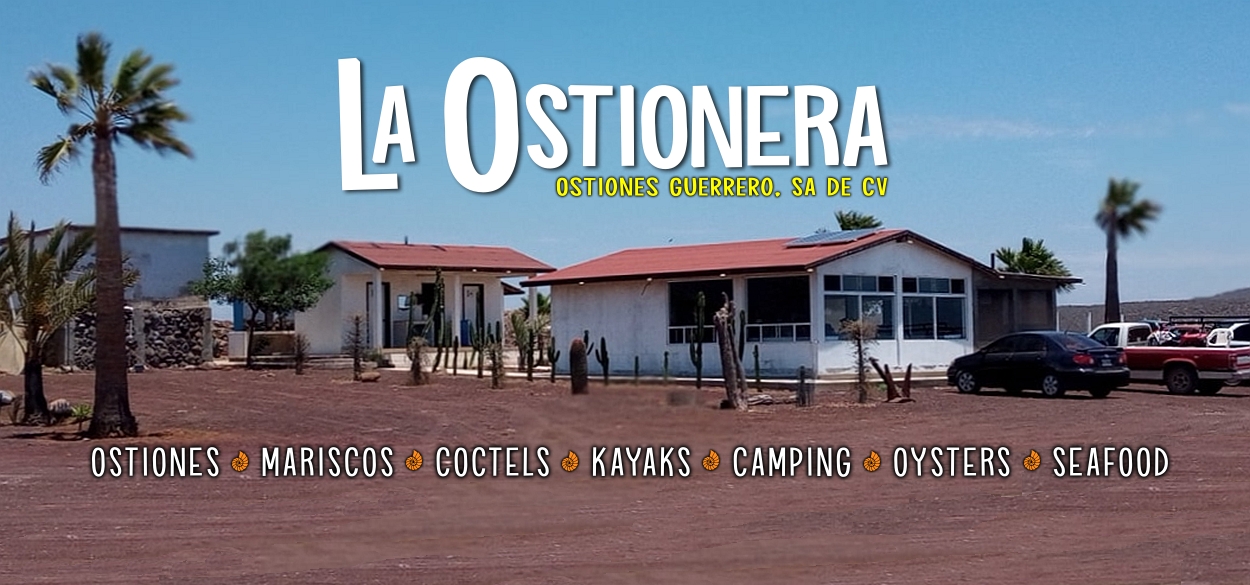 La Ostionera de Bahia Falsa image 3